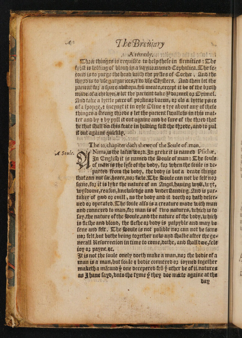 Kremer ef 0) 1 37a! The thinges ist -oquitie to helpthelei in firthities The 10 i ig oes of bloud ina papnemamed Cephalica. The ſe⸗ ond is to purge the head with the pylles of Cochee And the 10 pd is to vle gargarices, x to vle Cipſters. And than let the patient koꝛ a ſpat e abikoyn fr meate, except it be of the bꝛoth made ala chekpn e let the pactent take pommel oz Orimel. Aud take a lyttle peete of poꝛkeoꝛ bacon, oꝛ cls a lyttie pace ofat fponqe,s incynet it in ople Oliue ¢ tre about any of thele thinacs a ktrong thꝛede ¢ let thepacient ſwallow in this mats ter and by ¢ by pull it out agate and be (ure of the thꝛed that he that Hall da this see in sh ee fat 17 thꝛede, and to pul it wat weep 178 1 Sie 85 1 ‘The 22 schapiter dah shewe of she Sade of. man. 1 +A Soule. | Nima, is the latin woꝛd. In greke it is named Pliche, ol man is the lyfe or the body, for when the ſoule is de⸗ “partes: from the bony, the bodp is but a deade thinge that tan not ſce, heare, noꝛ fete. The Soule can not be felt no ſeene, foꝛ it is lpke the nature of an Angel, hauing ydl, w pt, Wyldome, reaſon, knowledge and vnderſtanding. And is pars taker of god oꝛ euill, as the body and it doeth o2 bath deler⸗ ed 02 operated. The ſoule alſo is a creature made with man and connexed to man, foꝛ man is of two natures, which is to ſap, the nature oł the Soule, and the nature of the body, which 1 is fleſhe and blond, the fleſhe oz body is palpyble and may be a fene and felt. The Sotile is not palible noꝛ can not be ſtene “a {oy 02 payne. ec. 1 It is not the loule onelp doeth make a man, noꝛ the bodie ok a . matt isa man. but ſoule ¢ badie connexed oꝛ toyned together maketh a mã:and p one decepered fd p other be ol ii natures as 4 bane fayd, vnto the tyme ß they soe miete againe at the dap —— ——