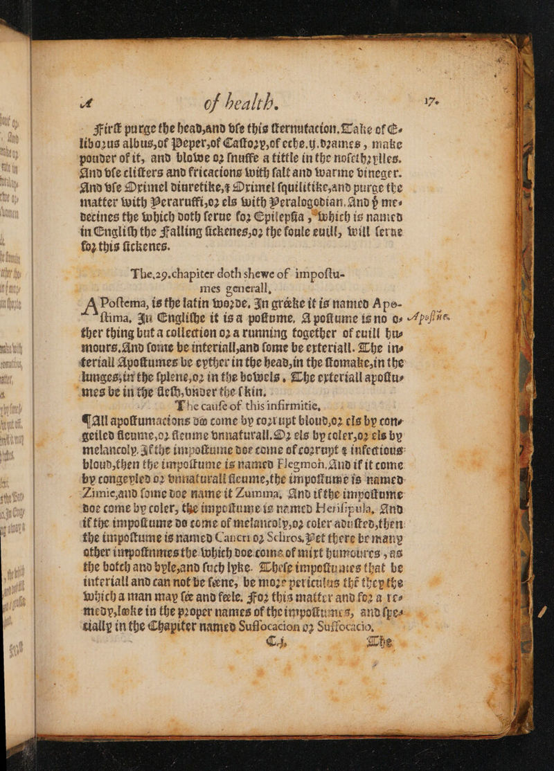 Fir purge the head, and ble this ſternutacion. Take of c- libozus albus, of Peper, ot Caſtozp, of eche. ij. dꝛames, make pouder of it, and blowe o2 ſnuffe a tittle in the noſetheplles. And ple cliſters and fricacions with ſalt and warme vineger. And vile Orimel diuretike, 1 Drimel ſquilitike, and purge the matter with Peraruffi, oz cls with Peralogodian. And p mes decines the which doth ſerue fo2 Cptiepfia , Which is named in Engliſh the Falling lickenes, oz the koule euill, will lerne fo2. this ſickenes. The. 29. chapiter doth shewe of impoftu- mes generall. 8 A Pottema, is the latin worde. In greke it is named Ape- ſtima. In Engliche it is a poſtume. A poſtume is no o⸗ ther thing but a collection oꝛ a running together of euill hu⸗ mours. And (ome be interiall, and ome be exteriall. The ins Hall apollum attons be come by toꝛr upt bloud, oꝛ els by cone geiled fleume, oꝛ fleume vnnaturall. Oz els by coler, oz cls by doe come by coler, te impoſtume is named Heriſtpula. And other impoſtumes the which doe come of mixt humoures , as the botch and byle, and ſuch lyke. Theſe impoſtu mes that be interiall and can not be ſene, be moze periculus tht they the coy lake in the pooper names of the inrpoit nes, and ſpe⸗