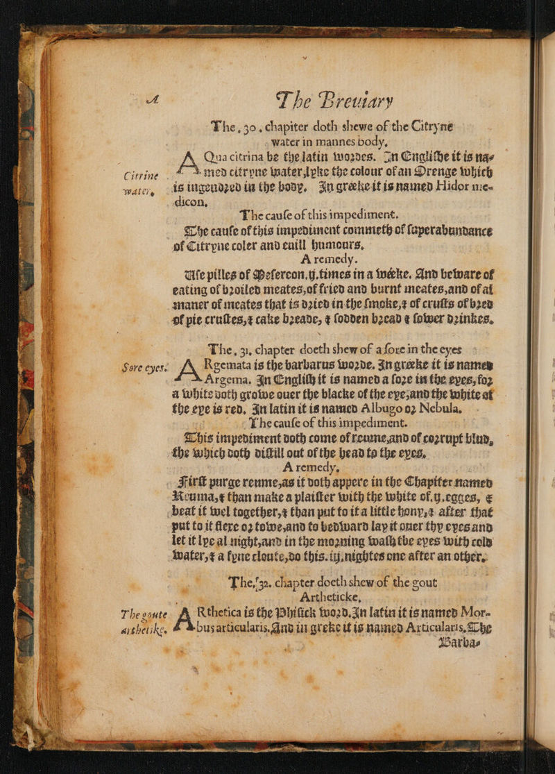 Ae (Has Water in mannes body. A remedy. A remedy, Artheticke, Barba⸗ *