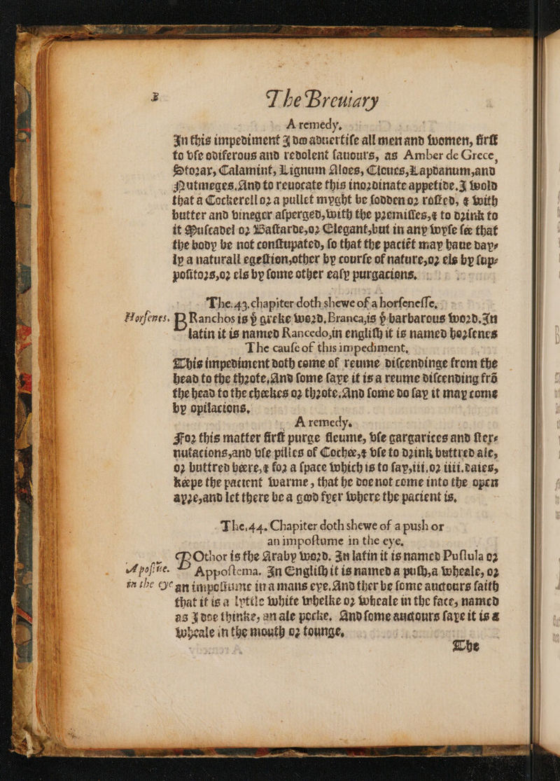 T he ee 14 A remedy. i In this impediment J do apucttife all men and (be lirſt i to bfe odiferous and redolent ſaudurs, as Amber de Grece, | Stozax, Calamint, Liqnum Aloes, Cicucs,Lapdanum,and a Nutmeges. And to reuocate this inoꝛdinate appetide. 4 wold | i that a Cockerell oꝛ a pullet myght be foddeno2 roſted, &amp; with | butter and vineger aſperged, with the paemifics,¢ to o2ink to . it Puſcadel oꝛ Baſtarde, oꝛ Elegant, but in any wyſe fee that | i the body be not conſtupated, fo that the paciét may haue days i i iy a naturall egeſtion, other by courte of nature, oꝛ els by ſup⸗ i poſitoꝛs, oꝛ cis by ſome other cal purgacions. Ihe 43 chapiter doth shave ofa borſeneſſ e. Horfents. BRanchost is p greke 62d, Branca, is p- barbarous woꝛd. In latin it is named Rancedo, in engliſh it is named hoꝛſenes The cauſe of this impediment. This impediment doth come ol reume diſcendinge krom the head to the thꝛote, And ſome faye it is a reume difcending frõ the head to the cheekes 02 thꝛote. And ſome do fap it map come by opilacions. A remedy. Foꝛ this matter firſt purge fleume, vie gargarices and ſter⸗ nutacions, and ble pilles of Cochee, x ble to dzink buttred ale, oꝛ buttred beere,¢ for a (pace which is to ſap, iii.oꝛ iiii.daies, kope the patient warme, that he doe not come into the open apꝛe, and let there be a god fyer where the pacient is. . | The. 44. Chapiter doth shewe of a push or 10 an impoſtume in the eye. 1064 Othori is the Araby word. In latin it is named Puſſula 02 1 A polite. D A ppoſte ma. In Engliſh it is named a puſh, a wheale, oꝛ et fa the ye an impollume in a mans exe. And ther be fome aucours faith ; that it is a lyttle white whelke oꝛ wheale in the face, named ‘ as Jose thinke, an ale pocke. And ſome audaurs faye it is a ) 1 Wheale in en mouth o tounge. | | . i wil =i. . 9 Ping 5 e 8 ois aS — — ͤ ͤ³—ä— — — ]— 7 Si a gn ES el jee TSA