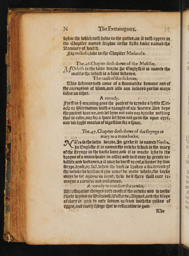 N The Fxtrauagants,. fiphac the which doth holde in the guttes, as it doth apyere in the Chapiter named Siphac in the fielte boke anid the euiary of health. ; 0 02 milfofis,toke t in the Chapiter Madarof: 8. The. 46. C hapier doth shewe of the Maſelles. AfOrbill is the latin woꝛde In Englych it is named the maſels the which is a faint ſickenes. The cauſe of this ſickenes. Tbis ſickenes doth come of a fleumatike bumdur e and ok the coꝛrupkion of bloud, and alfo one inlecked 3 mare | infec an other. A remedy. rs Fett in p moaning geue the ain fo depnke a ipttle ris acle 02 Mitridatum with a dꝛaught of ale warme Gnd kepe fhe pactent warme, and let hym not eate no2 dzynke nothing that is colde, noꝛ fo2 a (pace let hym not go in the open aper, and ble sere meates of digeſtion fo2 a ſpace. The. 47. Chapiter doth shewe of the ſtrynge or mary in a mans backe, Vat is the latin woꝛde. In greke it is named Nucha. In Engliſhe it is named the nebeke which is the mare of the ſtrynge in the backe bone, and it is muche Ipkefo the bꝛapne of a mans beade in colloꝛ and in it map be greate des billite and wekenes, x it may be burſt oꝛ cut a ſunder by ſom ſtrppe, bꝛoſe, oꝛ fail. when the back is bꝛoken a ſunderand pf the newke be boeken it tan öde rhe made Whole, the backe 1 a turutkie and crokednes. A remedy to comfort then wie B f All reſtoꝛatiue thinges both coutfort the newke and fo othe fwete Wynes as Mulcadeill, Baſtarde, Aligant, and the vlage ok clarp is gad to cafe ſodden o2 fried with the polkes ok