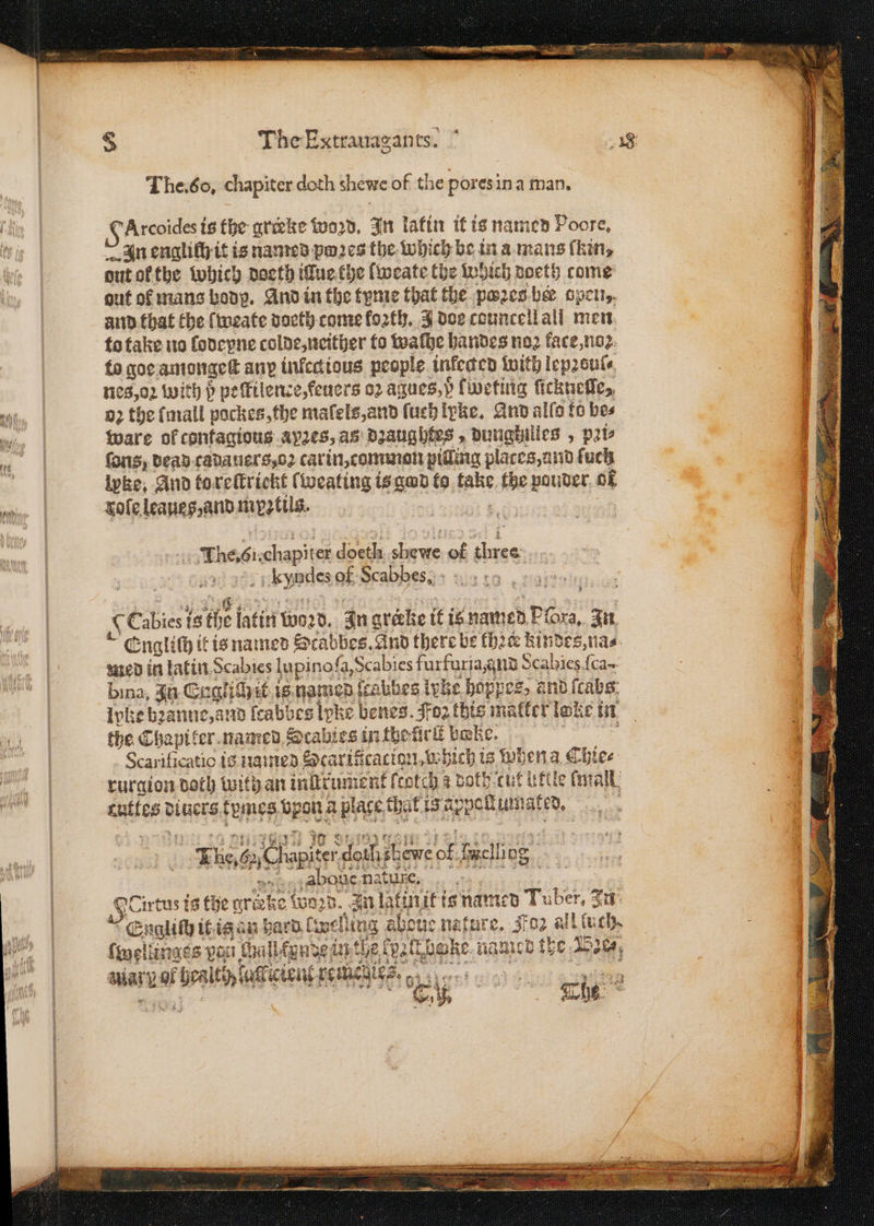 The. So, chapiter doth shewe of the pores in a man. : Se is the greeke woꝛd. In latin it is named Poore, % In englich it is named pwꝛes the which be in a mans (kin, ele out ol the which doeth iſlue the lweate the Which doeth come „ out of mans body. And in the tyme that the poses. bor opens. and that fhe lweate doeth come loꝛth. J doe councellall men to take no lodepne colde, neither to waſhe handes noꝛ kace, noꝛ to goe amongeſt any inkecious people infected with leproute, | nes, oꝛ with p pefilence, ſeuers 02 agues,) Iweting ſickneſſe, M oꝛ the {mall pockes, the malels, and ſuch lxke. And allo fo bes „„ ware of contagious AYES, as dzaughtes, dungbilles , pate 1 ſons, dead cadauers, oa carin, common pilling plates, and ſuch „ ipke, And to reſtrickt lweating is god fo inte, the pouder of tiie | Zoſe leaues, and mestils. The. chapites 5 ae of 38 kuyndes of Scabbes, 8 Cabies is the latin word. In grarke it is named Aree an | Englich it is named Stcabbes. And there be fhae kindes, na⸗ 1 med in latin Scabies lupinoſe a, Scabies fur furia, nd Scabies ſca- 4 bina, In CEnglichit is named ſcabbes ivbe boppes, and ſcabs Ive bꝛanne, and ſcabbes lpke benes. Foz this matter loc in N the Chapiter named Scabies in theticll bWRe. | Scarificatio is named Scarifcaciau, which is When a Chie⸗ rurgion doth with an inſtrument ſcotch az doth cut ttle mall Ae binges fpmes vpon a place t Bere uated, 1 Theda ene n she ewe cf, fj fwclliog | abouc.nature, | | Soe erent e 150} d. In latinit is named Tuber, In | Englilh it is an hard bwelling aboue nature. Foz all (uch, | ſwellinges pest Wall kynde in the val bake. named the Bier;