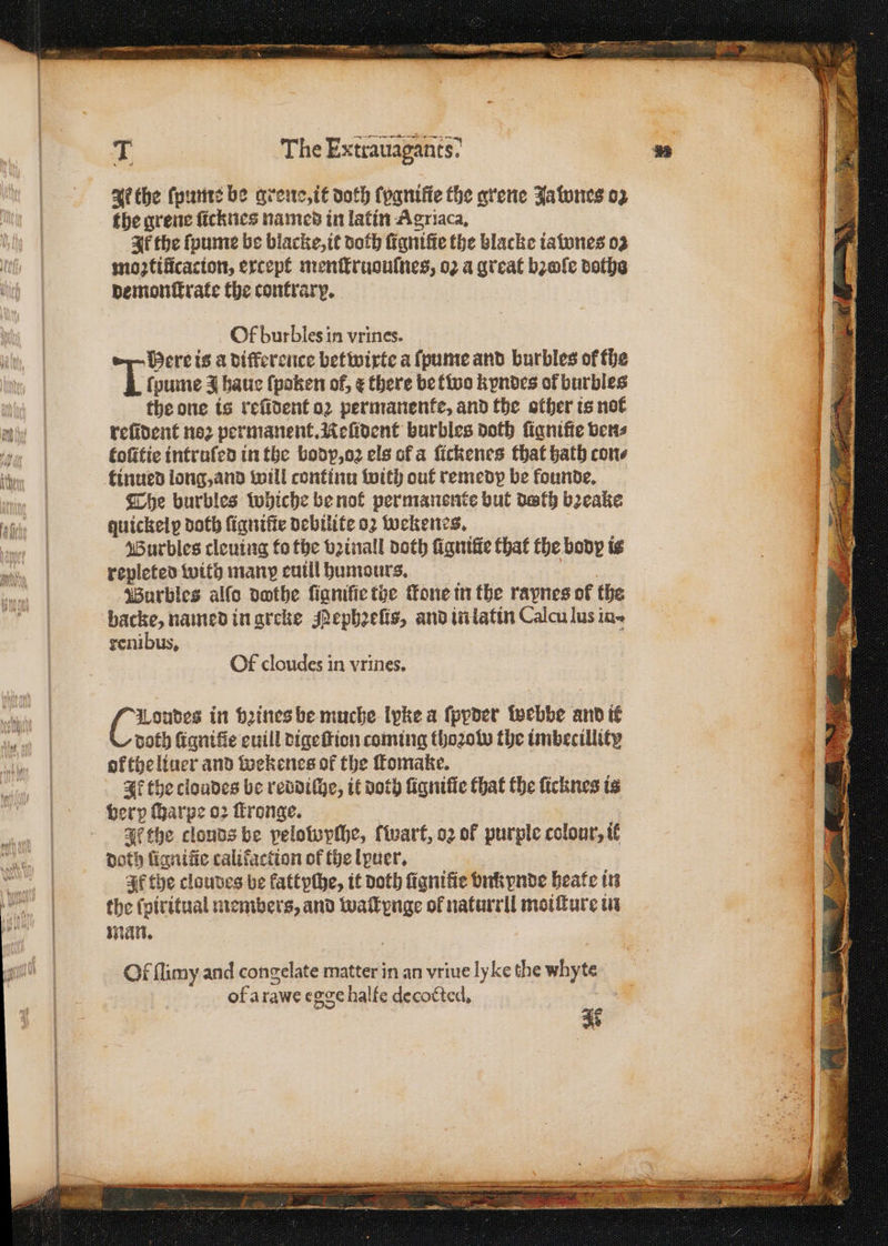 I the ſpume be grene, it doth lygniſie the grene Jawnes oz the grene ſicknes named in latin Agriaca. It the ſpume be blacke, it doth ſigniſie the blacke ia wnes oz wmo2tificacton, except menſtruouſnes, 02 a great bꝛoſe doths demonſtrate the contrary. Of burbles in vrines. here is a difference betwirte a ſpume and burbles of the Tae J haue ſpoken of, &amp; there be two kyndes ol burbles the one is reũdent oꝛ permanente, and the other is not refident noꝛ permanent. Keſident burbles doth fignifie bens koſitie intruſed in the body, oꝛ els of a ſickenes that bath cone tinued long, and will continu with out remedp be founde. The burbles whiche be not permanente but dath bꝛeake quickely doth ſigniſte debilite 02 wekenes. Burbles cleuing to the bꝛinall doth ſigniſie that the body is repleted with many euill humours, Wurbles alſo dothe ſigniſie the one in the rapnes of the backe, named in greke Pephꝛeſis, and in latin Calculus in- renibus, Of cloudes in vrines. Londes in Hines be muche lyke a ſppder webbe and ik doth ſignifie euill dige ſtion coming thoꝛow the imbecillity oftheliner and wekenes of the ſtomake. Ik the cloudes be reddiſhe, it doth ſigniſte that the ſicknes is very ſharpe oꝛ ſtronge. athe clouds be pelowyſhe, wart, oz of purple colour, it doth ſigniſte califaction of the lpuer. Ik the claudes be kattyſhe, it doth ſigniſie bnkynde heate in the ſpiritual members, and waſlynge of natarrll moiſture in man. Of flimy and congelate matter in an vriue ly ke the whyte of arawe egge halfe decocted. a SF A et ala A RISEN EI NOI TLE TEP TEE TEM IT LALO Ter ae PORN ied 4 7 5 1 »