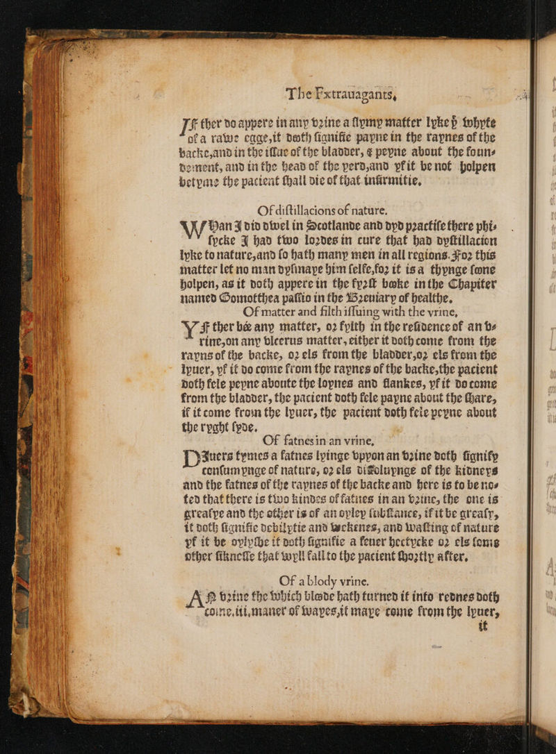POE een nr grt The Fxtrauagants, I ther do appere in any vꝛine a llymp matter lyke ß whyte ofa rawe egge, it doth ſianiſie payne in the rapnes of the packe, and in the iſſue of the bladder, & pepne about the founs de ment, and in the head of the perd, and pkit be not holpen betpme the pacient ſhall die of that inürmitie. Ol diſtillacions of nature. W Han J did dwel in Scotlande and dyd pꝛackiſe there phi⸗ fycke J had two lozdes in cure that had dyſtillacion lyke to nature, and lo bath many men in all regions. Foꝛ this matter let no man dylmape him ſelke, foz it is a thynge fone holpen, as it doth appere in the fy2 bake in the Chapiter named Gomotthea paſſio in the Bꝛeuiarp of healthe. Of matter and filth iſſuing with the vrine, Ys ther be any matter, 02 kylth in the reüdence of an bs rine, on any bleerus matter, either it doth come from the rapns ot the backe, oꝛ els krom the bladder, oz els from the ipuer, pf it do come from the rapnes of the backe, the pacient noth fele pepne aboute the lopnes and flankes, yk it do tome from the bladder, the pacient doth fele payne about the Hare, i 10 if it tome from the lyuer, the pactent doth feie peyne about „ the ryght (poe. Po. Bale Of fatnesin an vrine, L3uers fymes a fatnes lpinge bppon an vꝛine doth ſignily tonſum pnge of nature, oꝛ els dikelupnge of the kitneys and the fatnes of the rapnes of the backe and bere is to be nos ted that there is two kindes ol fatnes in an vꝛine, the one is greaſpe and the other is of an oplep lubſtance, if it be greaſy, it doch ſignifie debilptie and wekenes, and wafting of nature pk it be ovivibe it doth fignific a fener hectycke 02 els loms other ſiknolle that wyll kall to the pacient ſhoztly after, Of a blody vrine. AN bathe the which blade bath turned it into rednes doth dcoine. iii. maner of wapes, it mape come from the lpuer, ik