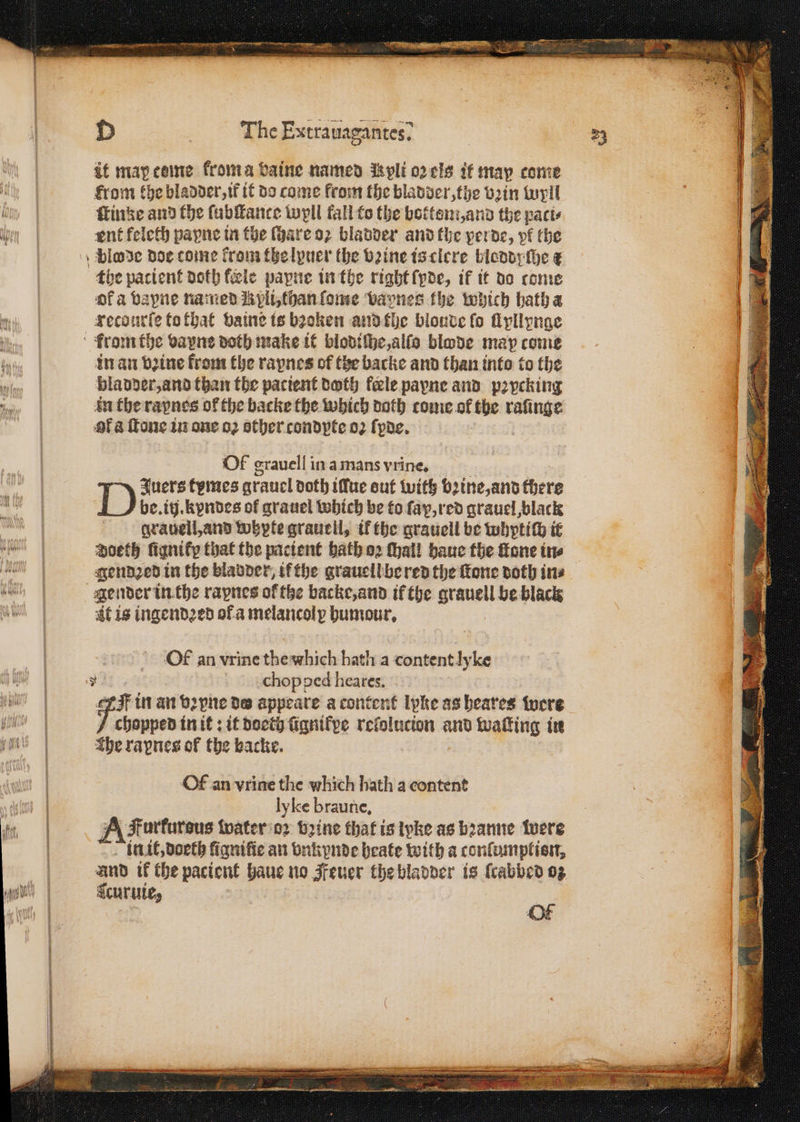 sc RE ETC LD, NEE 1ꝓ———— AINE I ONE OIE PN o> PP D The Extrauagantes? it map ceme kroma baine named Mpli oꝛ eis it map come krom the bladder, if it do come from the bladder, the vꝛin woll ſtinke and the ſubſtance wyll fall to the boten and the pacts ent feleth payne in the ſhare oꝛ bladder and the perde, yr the the patient doth fle payne in the right ſyde, if it do come ofa vapne named Npll, han ſome bavnes fhe which hatha recourſe to that vaine ts bꝛoken and the bloude fo Hyllynge in an bine from the raynes of the backe and than into to the bladder, and than the patient doth fele payne and pꝛycking an the raynes of the backe the which doth come ol the = ofa ſtone in one oꝛ other condpte 02 ſyde. Of grauell in a mans vrine. Juers tymes grauel doth illue out with bꝛine, and there be.itj. kpndes of grauel which be to ſax. red qrauel black grauelh, and whypte grauell, ik the grauell be whyptich it doeth ſigniky that the pacient bath oꝛ thal! haue the fone tne gendꝛed in the bladder, if the grauellbe red the ſtone doth ins zt is ingendꝛed of a melancoly humour. Of an vrine che which hath a content lyke fi in an vꝛyne de appeare a content lpke as heares were chopped in it: it doeth ſignikye relolucion and waſting in The rapnes of the backt. Of an vrine the which hath a content ly ke braune. A. Furfurous water oꝛ brine that isivke as bꝛanne were in it, doeth ligniſie an vnkynde heate with a conſumplion, and if the paciont haue no Feuer the bladder is ſcabbed oz curuie, a