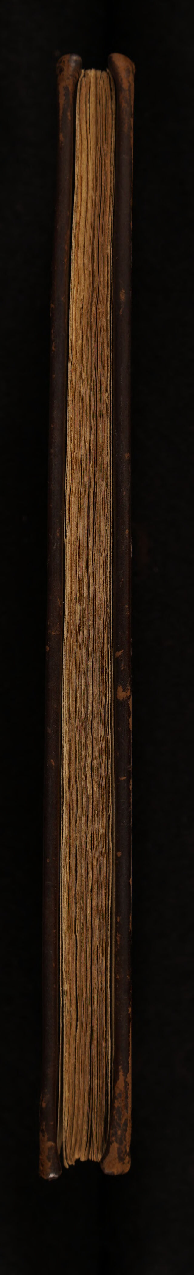 No text description is available for this image