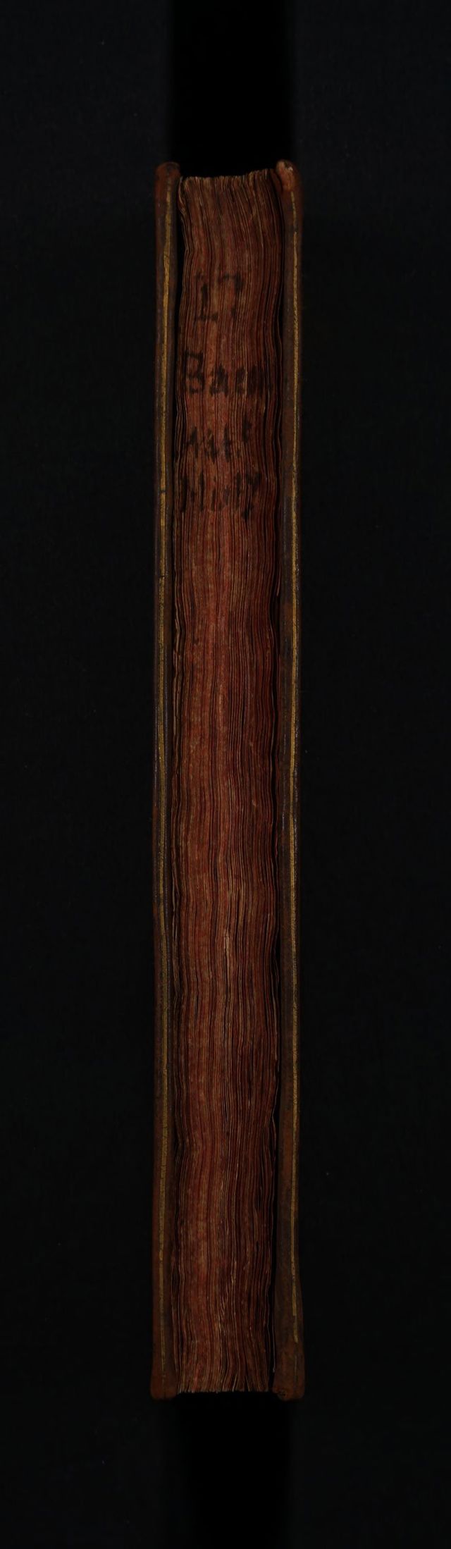 digitised image 3