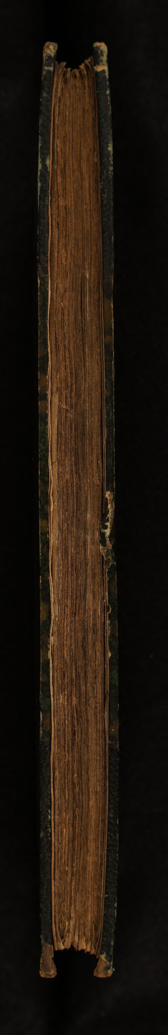 No text description is available for this image