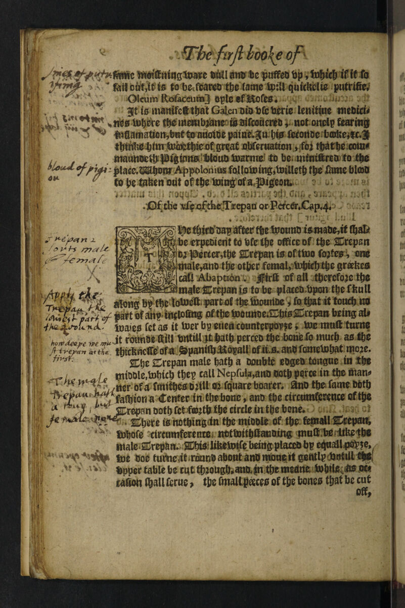 wke of w nmBit Irteittitins’tBaire Bittl anti be poffeo bp, tofj icb if it ft > - * fail ont,U is to be.fcareo tbe fame Spill quicltelte putrifie, v Oleum Rotaecuin} ople sfMofes. . . . '.'TV gt is inanifcetbat Galen oio bfc berte leniftne ttiebiti< 4””?* Hires to&ere tbomewbjane asoiftouetieD, not onelpfearing “ ■  5^ 4»aamatiott,bBtloauefiBe pdiuelgubis icconee bofeej|t.3( tbtn!ie b<m toi»;t|)te of great obferuatton , foj tbatbc corn* w , niatmocSltptginns Woub Soarme to be mintftrcD to tbe i| «***» Jt/Wj placc.3®bostr Appolonius folloSoingjtoilletb tbe ftnw M«# ■'  to be taken out of tbe Boingofa^igeomu 3 ■ ui s: m as *, »-■: ■ •frtr#rslri* ft- A ? f'i. a* ftffi C\ itfi *i jKAi +t r* r'l 4 v »£«»«£' • ( i 4* M it V I J * 3 ■ r \ J - . *-J i * ^ * ** + - }•■ 4. « V v I t •lOf the ^oftbeTrcpaii orPefcer.G^p^. A i 4U Jv t )*~£ & rt x [- /ov^hs r??aU- y- - \ - -. I $be erpecient to bfe l&e office of tbe SCrepsn V:Dj pertcr,tbe SErepan is of ttoo fojtes, one tttale^no tijc other fcmal, lobicb tbe greeites cal* Abaption. jjltrtt of all tbcrcfo.tc the male jCrepan is to be placeo bpon the fltull '■HhaXnLnjJ paies fetas it toerbp enencounterpoise, toe mutt fume JL.W*.-# rounSettill brttm |»at|i pcrcco tbe bonfefo much aside i | tbiefcneffe of a ^paniftiUo^all of its. ar.c fometobat moje. H'‘A: '■ SDb® Zrepan male batb a Double ebgeo tongue in tbe „ / , / mioble.tobicb tbep tall Nepfula,ano ootb perce in tbe fttan* -Tncr 0f jj fntitbes 0jiU o> fquare boater, auo tbei fame Both yyfefljfotta Center in tljebonc, and tbe circumference oftbe U H>»*w | **« screpan ootb fet fajtb tbe eirtle in tbe bone, jte )w*{£-%«yr. i6 not^mgiin tbe mtoble of tbe fepal! ffrepaw, • ‘*'V tkftofe tircumferente: notSoitbSauning putt be Ultelbe , male«repan. ^bis libeSotfebeingplaetsbp equ^fpeipte, ae boe funieiitircamBaboutanBmtmertBentlp bnfill ^l ■ >t V Wv! tapper table be tqttbJougb.antMin tbe meflne Sobil6tiHs .ot* tatton (ball feme, tbe fmallpeeces of tbe bones that be cut off,