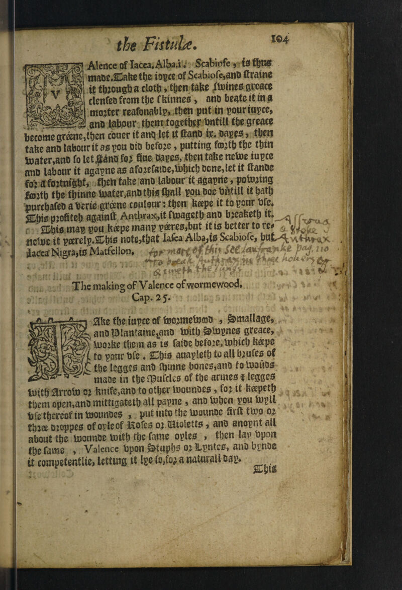 104 V Alence of Iacea.Alba.i v Scabiofc, is fljtMt maoeJDahefbe togce of Scabiofe,ano (frame if though a cLotb, tben tabe (toines gicace denfeo from tfje f btnnes, ano beate it in a mojter reafonablg, then pnt in gourtupcc, ano labour them together bnttil tbegreace » , * - ^.r ■ d. w^^ •_ t. ^ become gr®ne,tben cotier tt ant| let tt Cano tr- sages j then tahe ano labour it as ecu sis before, putting fmjfb ttjc ttjin toater,ans fo let.Sans fo; fine sages, tben tabe netoe iugee ano labour it agagne as afoicfatoe,tobtcb sene,let it (tanoe fo’i afo:tnigbt, tben tabe ano labour it agagne, potojing With tbe tbirme toater.anOtljis (ball gouCoc bntiU itbatb purebafes a berie greene coulour: tben beepe it to gour bfc. SOispjoftfef) againtt Anthrax,tf fioagetbano bjeabetb *t*^• r abis mag gou kaepe mang g®res,but it is better to re# ; ttegoe it garelg.Sfjts iiote,t!jat lafca Alba,tS Scabiole, but^vit'kt-xx ilacea'Nigra,IS Matfellon, &!**&*!*?%' *1° <*pl kftd/L-pt /*«*. **<>«•» 1 U r rl aimtmffflt - The making of Valence ofworraewood. Cap. 2 J. abe tbe iugee of fBOjmetomo , £>mallage, ano piantainejano UJttb &*JBgnes greace, tootlte tljetn as is faioe befoje.Utbicb beepe to gonr Ofe. £bis auagletb to all bjufes of tbe legges ano ftiinne bones,ano to tootios maoe in tbe £f ufcles of tbe armes «legges tuitb drrofo oj bnife,ano to other tooonoes, fo j it bcepetb them open,ano mittigatetb all pagne, ano tobett gou Ingll bfe thereof in toounoes , put into tbe inounoe Srft tiro 02 tbJae ojoppes of ogle of ISofcs oj.Sfioletts, ano anogiit all about tbe Uwunoe toitb tbe fame ogles , tben lag bpon tbe fame , Valence Upon gitapbs oj Ilgntes, ano bgnoe it competent lie, letting it Ige ic.fo, a naturaU sag. it t I