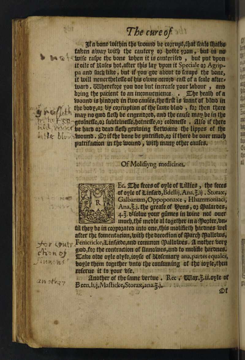 cure Oi Jf a bone lotffjin tf>e foouno be cojrupf,fbaf fcale tljatbe tafcen atoas UufE) (be caufcrs oj tjotte pjon, but in no I* % -»toife rafpe ttje bone tobcn it is cauterifeo, but put bpcn it oile of Uofes bot,after (bis lap bpon it Speciale oj Agrip. pa ano fuclj Ui;e, but if sou goc about to fcrape the bone, it iuiU neuertbeleffe of bis clone atcojo caff of a fcale afters toaro. a&berefoje son doe but intreafe sour labour , ano bjtng ttje patient to an intonuenience . 2Cbe bealb of a foouno is binojeo in ttoo caufes,((je firtt is ioantof blmo in tbeboos>o? bs corruption of tpe fame blcoo , fo; (ben there _ , mas no gmo fletb be engenojeo, ano the caufe mas be in tlje ■ r . ['' grofneffe,oi fubtclneEe,bofnetTe,oj coloneflc . aifo if there be baroojoeaofleflb groining Cettoane tbelippes of tbe ^ he toounO.£D’iftbe bone be putrifieo,oj if there be ouer much gutrtfaction in t be toouno, forth mans other caufes. Of Molifiyng medicines. Ec. 2Dbc feces of osle of llilltes, the fetes of osle Of ilinfeeO,BdclIij,Ana,;,ij. Storax, Galbanum,Oppoponaxe, Hhammoniaci, Ana,|.j, the greafe of i^ens, 0) spalarces, 4.|.oifoiue pour gfimes in tome not ouer much,the mcole ai together in a#o?ter,bn* til tbes be in cojpojateo into one,this motifiefb barones toel after the fomentation,initb tbe Oecoction of Search fpallotos, Fenicticke,iinfaoe,ano common i^allotoes. a notber hers nv n gcoo,foj the contraction of Cnnotoes.anO fo moltfic barones. • SCaite oloc osle OlSfMosfe Of btofemars ana.partes equaks, bosle them together Onto the confuming of the iosfe,tbcn referue it to sour bfe. another of the fame bertue. RecMap.|.ti.osle of Been.li4.Mafhcke,Scorax,ana.|.j» 2n *»< ji,»