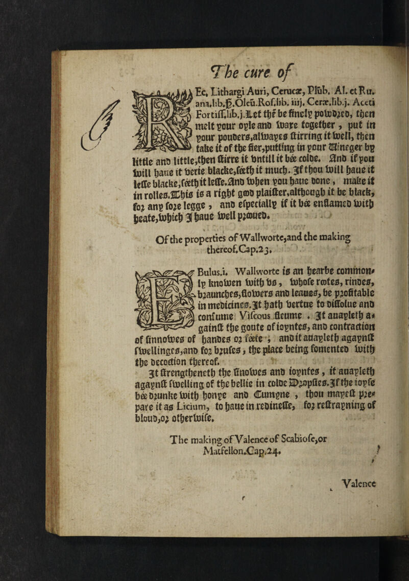 Ec, Litharge Auri, Cerucae, Plub, At. etKii. ana.hb.jj.Oleu.Rof/lib. iiij. Cerae.lib.j. Aceti For tifHlib.j.itet thebe finely poteo^co, ton melt your ogle ano tore together , put in pour pouoers,altop£0 airring it toll, ton take it of to fier,putling in pour minsger bp little ano little,then ttirre it bnttll it bee coloe. 0no if pou totll Ijaise it tscrie blacbe.fetb it mutb. 3tf tbon toll baue it leffe blacbe.feetl) it leffe.ano toben pou bane bone, tnalse it in rolles.&bte is a right goo plaitter.altbcugb it be blade, foj anp foje Icgge, ano efpetiallp if it bee enflamso tot& beafe,tobicb 3 tiaue toll pjeaneo. Of the properties of Wallworte,and the making thereof. Cap.23, Bulus.i. Wallworte is an besrbe common# (p fenoton iuitlj bo, tojofe rentes, rinoes. H sS&^^bjauncbes^otors ano leaues, be profitable K^^bjauncbesjflotoers anoleaues,be profitable mmeOicines.gt batb bertue to oiffolue ano iOyli confume Vifcous fleume . gt auaplefb a# gainlt tbe goute of iopntes, ano contraction . A r , _ 1/_ lif At of finnotos of banocs 0? fate , anoitaunpletb agapnlt ftoellingcs,ano for brutes > tbe place being fomenteo totb tbe oecoctton thereof. gt ttrengtbenctb the ffnotos ano iopntes, if auaplefb agapnQ fuelling of tbebellie in coloe SDjopfies.gf the iopfe bee Djunbe toitb bonpe ano Cumpne , tbou mapett pje# pare it as Licmm, to baue in reoineffe, for rettrapning of blouo,o; otbertofe. The making of Valence of Scabioie,or Matfellon.Gap.24. f Valence