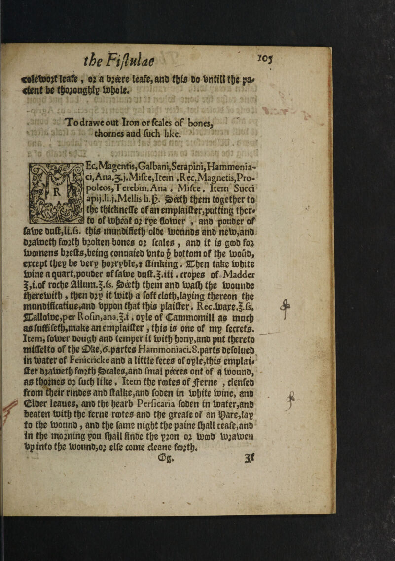 /< «let»ojt leafe, 02 a b2sre leafe, and ffete Do bnfiU tbe pa* <ient be tbo;ougblp inbole. Todraweout Iron orfcales of bones, thornes aud fuch like. Ec.Magentis,Ga!bani,Scrapini,Hammonia- ci,Ana,5,j,Mifce,Itcin ,Rec.Magnetis,Pro- poleos,Terebin. Ana . Mifce. Item Sued apij.li.j.Mellis li.Jj. S>ecft) them together to tbe tbiefinefle of an emplai&er,putting tfjcr* to of toljeaf oj rpe flolocr , and pouDcr of fatoe outt,li.fs. tljis munoiffetb oloe lucnnos ano neto,and e;atoctb fewtb bjolten bones 02 Rales, ano It Is gmd foj toomens btetts,being conuaieo bnto § bottom of tbe tooud, crcept tbep be berg boRpble,! Smiting. SEtjcn take toblte toine a quart,potioer of fatoe dutt.§,iii. tropes of Madder f ,i.of roeije ailuin.f.fs. $>oetf) them anti toatb ttje toouude tberetoitb»ttjen oep it toitb a foft clotb»laping tbereon tbe manoificaliue,and bppon that tljis plainer. Rec.toare.s.fs. JDallotoc.per Ro(in,ana.|,i. ogle of Cammomill as mticb asfuffifctb,mabeancmplatlfcr ,tbisis one of mp ferrets. Item, fotoer Dougb ano temper it toitb bonp.and put thereto miffclto of tbe iD'ie,<5.partes Hammoniad.8.parfs DefolneD in boater of Fenicricke and a little feces of ople,tbis entplat* Iter ojatoctb fcojtb Scales,and fmal pares oat of a toonnd, as tboines 02 facb like. Item tbe rates of jferne , elenfed from tbetr rindes and Halite,and fooen in tobite toine, ano <£lder lea ties, and tbe bearb Perficaria fooen in loaf er,ano beaten toitb tbe feme rates ano tbe greafe of an lgare,lag to tbe toound, and tbe fame nigbt tbe paine (ball reafe,ano in tbe mo2ning pou (ball finde tbe p2on 02 tpooO iD;alocn bp into tbe toound,o; elfe come cleane foojttj. af