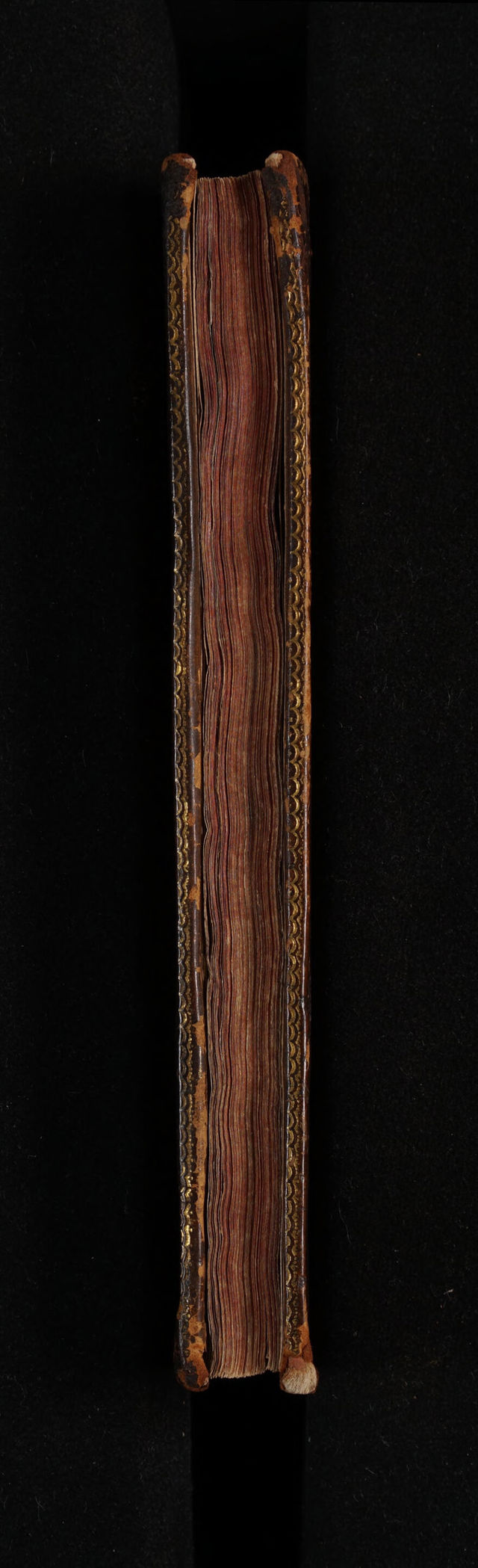 digitised image 3