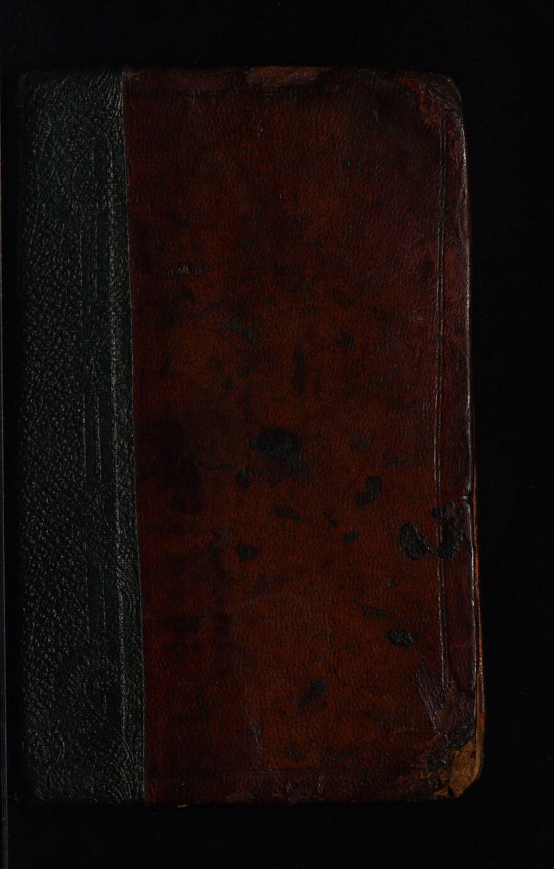 No text description is available for this image