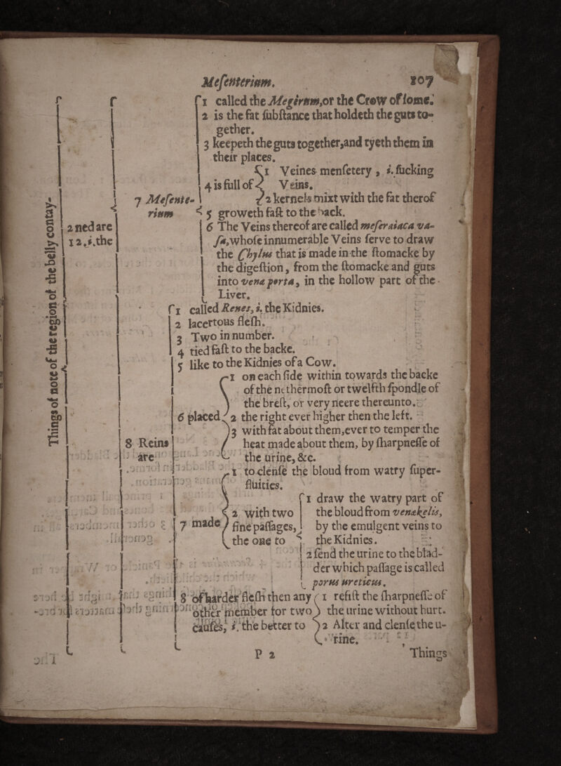 Things of note of the region of the belly contay- rr.. a ned arc ia.i.thc *> > i ri r-, i t ■ - J -t ■ -• - ! f • > o '/ / - >> ►- i , r) T; { '.nJi c'ij;jr>.c;K • „ fij, , Mefenterim. 'i called the Megirtimjat the Cr®W of fomej a is the fat jfubftance that holdeth the guts to* gether. 3 keepeth the gats together,and tyeth them in their places. £ i Veines menfetery , *. flicking 14 is foil of < Y eins. 7 Mefcnte- l /a kernel mixt with the fat therof ‘ 6 The Veins thereof are called meferdaca va~ fa,whole innumerable Veins ferve to draw the th*t is made in the ftomacke by the digeftion, from the ftomacke and gats into vena pert*, in the hollow part of the • liver. f i called Renet, i. the Kidnies. « a lacertous flefh.;' . 3 Two in number. , 4 tied fall to the backe. 5 like to the Kidnies of a Cow. 1 on each fide within towards the backe of the nc thermoft or twelfth fpondle of the breft, or very neere thereunto.l ' 2 the right ever higher then the left. - 3 with rat about them,ever to temper the heat made about them, by Iharpnefle of ; the urine, &c. i to clenfe the bloud from watry fuper- fluities. ) ; ' . i draw the watry part of a with two the bloud from venakelis, fine paflages, J by the emulgent veins to the one to , the Kidnies. :: 2 fend the urine to the blad¬ der which paffage is called porta ttretieut 6 8 Reins • arc:1' .ormol n >• : i 1:. ; ' t? • r t | . j L- i > i ■ J S'UIL'i made L. r’ 1 I 8 ofharder fiefh then any (■ i refill the fharpneffc of li j-fi:-, l jfternber for twoS the urine without hurt. caUf^, i.‘the better to ) a Alter and clenie the u- 9 v ' : / ’ r v * \ i H' * , nne.