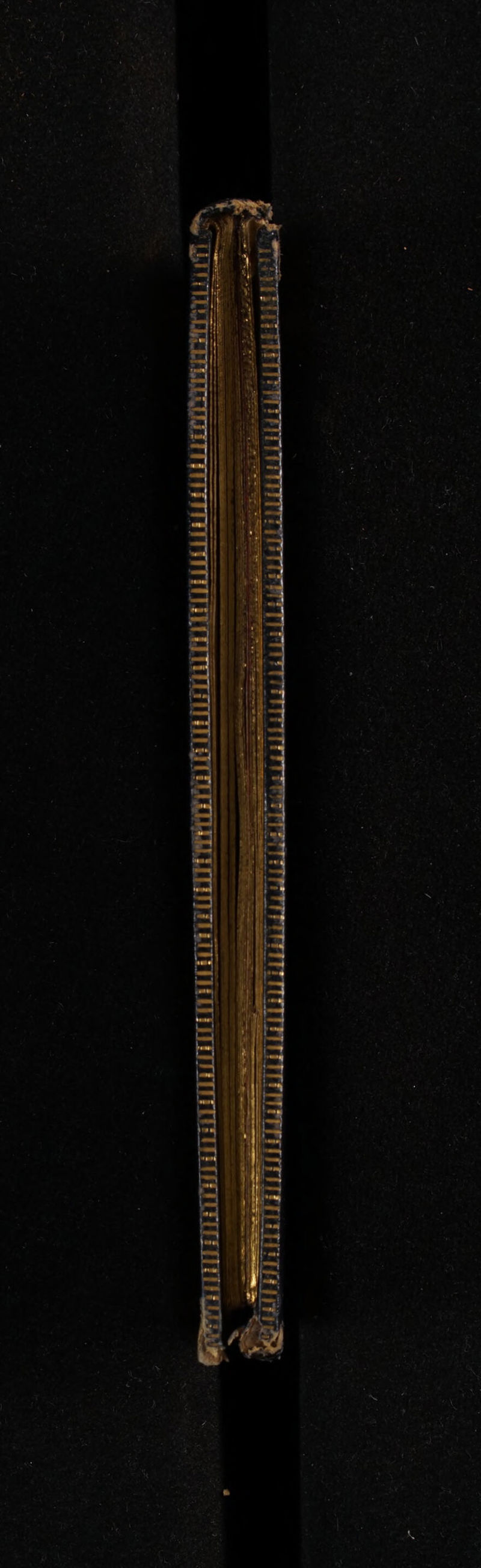 umu — —