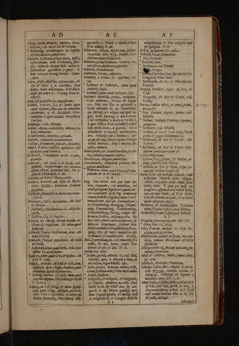 | AD. | Aduy, Incile, diruytio, ruptura, TUfite * Adwyar, vid. as ab. Ad & Gwyar. * Adwynig, ymddangos. Ll. rejpleb- -. defcerey micare comparere. infortumum, Inde Diadwyth, j/le- Athrodion gweifion y.gwyr. A bair adwythihwng brodyr. Tudur v Aled. Adyn, Mifir, mifellus, calamitofur. Ab |. Ad c» Dyn. q d. Ad-ddyn, Non | bomo, bomo mi(crrigas.. A fü ddyn acth yn adya f. Golwg Duw ar adyn T. Add, E/t prepo(itio 1a: compofstioue, | Addail, £luvtes, fex c fórdes quas aque ejiciunt, folia que ab arboribus ceciderunt, q« d. Ad-ddoil. Gor- weddais ar gwrraddail. Dzvydd ap G:lym. Addangc: vid. Afonge. — . Addas, Aptus; conveyitus, idoueus, ba bilis, cosnmodus. Addaftwydd, Idencítar, a ptitudo. Addatü, Adapcare, accommodare, Addaw , Promittere, polliceri, fbondere. Add«cf, Fateris coafiteri, agnofcere. Eft € iden quod Hadd:f. | Aedewid ;. Promifjutm. Acab. nada; promifit. | Addawd , vid. amab À €» Dodi. vid. Addod. Rcpo(Zzurium. Ax ddehau rhiau rhwyt goruchel ncf, Yn a- (;..ddawd Mibangel. P. M... ! Addfain;a5 Add c Main, exilis. Addfed, Maturss ; ab. Add. e Medi. Hebr. Q39N » preccem. fructum |. Jtgnificat: ! Áddfcdu, Maturefcerey maturare, matu- | rcfabcie. Addfwyn, 2Mitis, man(uctus. 74b Add c Mwyn... ^... jd * Addiant, 3Matileiiulus. Ll. Alis Hi- | ,raeth. - * Áddien, tég. LI. Pulcher. ! Addod, wy addod, Quim innido re- licum €. vepofitum. . Et idem quod '- Addawd. Addoed, Tempus cea[Litutum, etas. A Add c» Ocd. Addoedi, Tewpus protrabere. Ab. Add € Oedi. * Addocdd;1 dern quod Acth, Ivit. Cyn ddtl» Brydydd mawr. Addocr,Idem quod Or; Frigidus. Ab Add c: Oer, i Addoli, 4dorare, Ab Add c» Toli.4rs. Addeuli, Hebr. ar, Hadbar; quad aliquando fignificat Honorare; * Addug, Amcan. LI. Alijs idem quod Awydd.Impetus. Tip. Addug yr hydd yr llynn f. - Addug,ab A & Dug, er idem feuifi- cans qued Düg, .Abfiulit, portavit, tulit. Gwr a'i gwnaeth yn ddyn yn ddelw boenedig, ban.addug ddy. — t M HÀ MM | Ld pictam i p Lr AT t rn ^A E nim addug. P. M. Adduned.. potum, defidesium, poftula- Lio, petitio. Heb. 1, Nedber, Scri- betidum potius Eidduned. Adduno; potius Eidduno. overe, vo- Addurn, Orzamentum. Addurno, Orzare, adorzare. Addwyd, y nodau, Ll. Apofitima, vI- C. * Addwyd c Eddwyd, 1dem quod Aethoft, 12;fj. * Addwyf, Idem quod Aethym; 17i. Addwyn. Honeilus, probus, isculpatus. Gwr addwyn, Pf.bus €^ legalis vir. Nid oes llys ar geidwad o bydd addwyn. K. H. Anaddwyn yw Allud, a'r tridyn nid gair cu Báir beth bynnag a ddywcttont ( fcf crefyddwr a-dorro ei broff.fl, a gau dyft,a IIwfr cyfaddef) a dyn héb attcb armo, a pwraig». Os o alltudaeth. y myanir. anaddwyno; €»c. Addwyn yw i frenhin;. c£- quum e[? regi, Decet vegeim. Gwifgo dillad addwyn ; Vies detovas, bo- ae(Las, induere. Addwynder, c Anadéwyndra, Probi- tas, bone[Las, equum; equitas. Aoaddwyn, IZegalis; inbone[lus. Anaddwyno, 1//egalem probare, ille- alem snoa[tare. ddwyn; tdem. auad T)wyn,C córz- pofuun ab À. e Dwyu. A E » Aeg. Toto erawt elo dui banc vo- cem, Liuguas ,. vel dialeitum, vel lind quicquam figuificarc- putant. Er- 10r? occafionem dedit Eg. tevminatie verum dialeitos (Hamificamium (vt e nonnullorum aliorups femiaiaerum ) vt Gwyddcleg; ffrangeg, : Hifpae- neg, Gwyndodeg; Dacis. Deheubartheg, Groeg, Lizzua. Hi- bernice, Gallica, Hifpasica, €». Sic bas votes poeteveteres cecinerunt, fic bifforici [eripferunt ; firibant licet Scioli veceatioies Gwyddelacg,ffran- gaeg, cow. e voces cempéjitas effe exiftiment à Gwyddel,?wv. c Acg. Acl, Supercilium;ora. Acl mantell, 0/2 | futflis, Ar acl, juxta, prepé. Twr diwael ar ael yr all. D. G. Aelaf,vid. Alaf. : Aclaw, golud, cyfoeth. Ll, vid. Alaf, Divitie, epes, A throed a llaw, ac arf aelaw, a gotfoledd. 1o/o, * Acle,greíyn, dolurus, toftar, trift, trwm.LLBraw acle;Terror miferaudas. * Aeled, Sub(fant. * Aelgerth, c» Aclgeth, &Aelgaeth, c» Elgeth, Menu, maxilla. Dod blaftr with dy wddf'dan dy acl- gacth. L. M. Mewn gweilgi wyf, mae n gocl gerth, a'r weilgi hyd yr aclgerch. 4. Cangen ddifeth n p. Strages. * Acffen,Dytrdwy;Dea flwvins.Acrfen bengrecli fclen. fawr, Aerílawdd, 4b Act c» Blawdd,vid. Biawdd. Aergad, Prelium, vugua. Ab. Acr, e Cá. Aergrain, 4b Acr c Crain, vid. Crain, T Aeron, Frutias eflivi, vt poma, pruaa, Wuces, ec. Res, Scutum, clypeus, pariza. vid. Aftalch. *. Refawr, Scutieer, Scutatus; clypeatus, parmatus. * Aefdalch, vid. Aftalch, * Acldrai, ab Aes c Trai. Cujus fcutum prato c pugaá dimmutium eft. * Acfdrawd, ab Aes c» Trawd: vid. 'Trawd. * Acldwnn , ab. Acs' c^ Twriu. Cijus feutimm. prelo laceratum eft. Aefel, Ompbatium. * Acferw, Teg, gloyw, Ll. Ratilus, i- tidus, pulcher ,vid. Xtlerw. *- Aeffrau, ab Acs C Brati, cajas fcu- tuia pro viribus fragie eft. Aeth, Ivit. Ef) verbum radicale, vnde lafiitM: Myned. Hebr. mW, Atbab, ioit,abijt : Arab. Atbia. jte» Aeth, dólor.. Y mae yn acth. yn fynghalon glywed neu wcled hyny. vid. 48 bin; Sacth, ab Ysc Aeth; ivit, 0b celerem meatum, vel a dolore quem. yungendo imfeyt. Aeihnen, & Aethwydden. Trermlns arbor, Populus Lybica. Arm. Exblea. Aethwellt,Demet.Idenquad Adlaed. AF Afagddu, Nomen proprium iri. Tal. * Afais, Edn. L4. J4vis. Afal, Powum, malum. Sic Arm. Gr. LUAM UVAOY y Tis, Afal Peatus, Malum perficum, mux mo- lofca, pomam duracimum s cr Eirin gwlanog. Afal gronyrinog, Malum puricum, era- matin, epiroticuva. Afall;c» Afalleny. Malis, pomus avbór, fic Arme Afallach, Afaleule 3 Potzeriusm. Afange, Caffer, fiber, Anglice A. Beer. Heb. Ip1No Anakab. Dzitur c A ev wy. ) anoddyn dwr, Gv. L. G. Afar, Dolor triftitia Iutlusyvid.an ab A. é» Bár. Dal llid, go&d, ac afar, A chas wrth eftron a char. G.S. Trift wyf. mewn trwfiad afar, D. G. Vc- fte pulla, luituafa. | b dr pP E. e € 14. 21s SE 4A wm nu