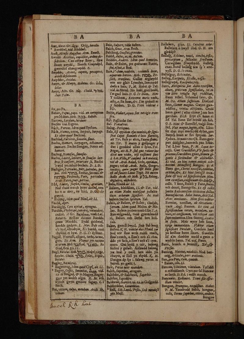 — € n —HáÁÁ Aur, Hora. Gr. agg. Orig, berula, * Awrddwl, vid. Afrddw]. Awft, Menfis Anguftus. Arm. Eawft. Awydd. Aviditas, empiditas, ardens de- fidesium. , Can ethyw. lHawr ;. llyw llawa: avydd , . Ilawch. Gwyndyd, wendud changrwydd. €. Awyddu, .4vere, cupere, pencuptve, aidé defideraes Awyddus, Avidus. e? YVioy. dir. Talm. B A pro Maban. Heb. 133. Babab. Baccwn, Laraum, aridum: Bacíeu vid. Eiprcu. Bách, Parvus. 1dem quad Bychan. Bách, Hamus,vancns, barpax, baxpago. Et idei2 quod Bacbiad, Bachiad, Curvitas, fiauatio, fenus. inuncart« Bachu llongau, Naves ad- basate. Bachog, Haefus, famuofus. Bachu, Lasert, latitart, m [imue[as. late- bras fe conferre, incervare fe, Bachu 'rwyd ym mhobbuches, D. 1. D. Bachgep; Parvulus, puer, puerulus, pue Arab. Fatatt,putr, B&amp;ruas, ' Bád, Lipter, feapba, àmba, «acatium, Nid rhaid march buan danad, neu , Urt. i db |'* Baddug, Idcz quod. Niwl, ait Ll. | Bacdd, Aper. : | Bacddgig, Caro apriu aprugua. | Bacddu, Verberarestutiatre, centusdere; cxdet, 4 Gr. Bagues vide Lar. Batwere. Keliss dicunus. Baeddu, quam Maeddu. ^ Brdd. geidwad, bacdda gedyrn. L. Mor. Pob edn o'r by d, alltudryw, A i baedd, ond. |. rhyfedd.ci byw.. D. G.i'r dylluan. Bagad, Nontulli, aliquot, turba turma, grex Sic Arm. Vtimur pro vaceno uvdruiu. Heb. x,Gad, 1359935. Ba Gad, Geg. 30.11. Bag], Bacutus. Heb. 2512s Makel;virga, baculus. Chald, 158 P elac, Scipio; baculus. Baglog, Bacalatus. * Bagwünog, Idtm) quod Cryf, ait. L1. * Bagwy; Cu[pis, fummitas, duse, vide cx. in Bragad, c in Magwy,Bagw | gyr xm malch afgre. N. Ac, vc wyncb. gwyn. gwineu: fagwy, C. i ferch. ——— UIHATI. c m D Bscot KIC Baich; 05s, 475. Bech. Beichiog, Oufeus, gravidus. Baidd, 4ufus, usui, Au[owa. — Beiddio, A4udere. Idewi quod. Amturio; Bain, € Baint, pra quibusmos Baent; frat, ejfext a Bod. , Bait, idum; vadatio; | vadandi locns, aquarum breuia.. Heb. myoEs Pe- fach, tranftus. Gallas arglwydd was acr glais Lywclyn, lawcnydd dwfna bais, P, M. Habet d Tal. vid, ia Abred.. Na. ludd, goel budd, i'm gael bais.D. G.ir Dou, | Hific Y fofdonn, Extrema maris vada, acia, e, Ba ham, erc. I'm gedaiít ar g, fein, T. G. Fieri videtur à 325. ; m Vadare, aquas [ine navigio tram e. Bál. Fafzieulus liani. Bal. Pyeceluus. Balog.. Periaoama. Bala, Eft oppidum ejus ominis, &amp;r figni» | fieat Caput. fluminis d lacu. fluentis, ait Tyr. Bala yr afon, Faues flumi. ni. TW. Y mann y gollynger y dwr i gerdded allan o lynn.T. Pagus, ait H. P. ftd qua ratione boc dicat men video, nifi exiflimet fieri vel ab Arab. Balad, Urbs, oppidum, pagus; otlab rab, Balla, Gurges, vortex; quia pagus ifie Bala. fs eft ad fauces Laeus Tegit Fit autem Balla Avab. ab. Heb. 5 53, Balang, degluires ab(orbere, * Bala; Blaidd ait. Lf. 4 * Balaon, bleiddiau, Ll. v Tj, vid. an etiam Nodos e«ulo[que. pullutau- tiw. arberum fignificet-.— Ac. mal balaon Saefon. fyrtuiyn. Tal; Balain, c7 Balaen, &amp; Balen; Chalybs, ferrum. 1dena. quod. Malen. dx Mc- lan. Balain pcdwarmaib Elis. 7.4. Ban wilgawdd, rudd gymmlawdd ri, Balain, vcb. ljethz. ben. beli. Ielg. Balaw, gwacllibwcel, 7de Bal-Jawg, fechni. K; H. videtur dici.Rhaid yw bod teir Jaw wrth. roddi. mach, ddo yn fach, a llaw't neb a'i cym. mcro. Oni bydd. y. tair, balawg yw. bod. y. naill. bea; iddo. yn Dangos dy fys i. falawg yntcu. ai heirch. yn.gwbl 1. Balc, Porca iuter arandgm. Balch, Superbus, arrogans. Balehder, c Balchedd, Superbia. Balchio, Superbire. Baldordd, Garvire. uk ex.3n Gofgordd. Baldorddwr, Locuteleius..— , * Ball, Lib. Lagd. Pelis. Sed. tende[e |; pro.Mall, Ballafarn o bwyll ifod. G. H. am gio Ballafg, Ecbiwus, nauci, concha, tefta; pericarptum , — folliculus — fructuum. Garwgibsu (ffrwythydd. Ballafg cnau. Bond ballafg tew fy 'r nc- wyll, D. G. i't cnau, Ballafgog; Echinatus, Balleg, Excipsla, fffcelia, na[Ja« Ballegrwyd, Excipulus,retg, Bann, 4Matiquitàs fiue. dubio excelftm, altum, procerum. fionificabat, ut im vye (bro wetufle legh redditum, Bann vchel. Vchenaid fan, Gr. * M. Da. 4ltups. fufpirium. Diafpad fann, Clatuor magnus. Gwynt gwa- cddían, ventus altifexu&amp;s. Ocdd bann gawr ( aitus clamor )am ben rthan. ELS. Eryt eli bann ci cf. Tal. Bann lef beirdd ith foli, G. &amp;. Hinc C Bannllcf, uulgo Bon- Ilcf, Vox magna, ingens, alta. Lleu- fer cbyr myr morícydd dylap, pan lewych huaü ar fzn fynydd. 1er. Fycban. In monte excel/ó. Bann gwir pan. ddifglair,bannach pan lcfair. Tal. Lloer fann, P. M. Luga ex- éelfa. Gwr Gwrddfan, Fir fortis dir proctrus Gwrddfan gawr,Nomen gi- gastis à fortitudime € elitudiue. Et Vid. an binc notaen antiqui. cdle- berrimi Monafteri] Bangor. q.d. Bann gor, Chorus excel[us, exitus, ceieber, ec, Et. bigc fora] tran- fata eff vox ad figuificandum. Mon. tein exoelfun,con[picumt.Gr.Bay(Gs, collis, Y fann, Bwlch y Fann,Bann vch denni, Banngeibr. E? eft cellis jextta. Baiboner[etm civitateso dius i Bannt[dervne. Adar bann, dicit Tal. ves; montasas. | Hine fieri. videtur Banniar, vexillum, ab elevatione : vade J4ngl. Dannem. Ef bimt ad fgrificandum notata, maculam, wae- vurvt.con(bicuum, uel relique cuti fuperegiiuentem,Elen fannog, à revo iw fade, Mair wyry heb fana, virgo immaculatae | Videtur. etiam figmficare Poculum , Gwcelais. hal y&amp; heiliaw bann llawn. | Gsvalch. E£ &amp;'m. rboddes. medd a gwin o wydrin bann.. Tal. vid, Pann. Verfus. Bannog, Notatus, notabilis. Nod. ban- nog, erticulus, pars orationis, * Banan, ofn. L/. , Bancaw, incimen, vinculum. Tyfiddi o ctifeddiacth Gyrs.aur fal Bancaw ar faecli. D. Ed. i wallt merch. Bancawio, Redimire. Tenui filo effra- Gum Vince, Bangaw, Dens, exquiftus. Habet T. M. Ym bal, bangaw, cofp, Sermo (uperbus, celeris, audax. Bangaw