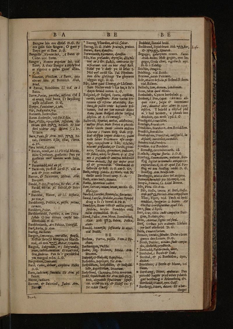 B A Bangaw lais eos dlófàf. D.G. Ac eos gai: fain fangaw , O gwrt y llwyn get ei law. D.G. i Bangeibr , Novien loci, . 4 Bann. € Ceibr. v;Z. Bann. Bangor; Nomen propsiüm loc. vid. - Bann. A chair Bangor a ddylybod ar yfgubor o galan gauaf allan. Wo ! elevari folet, pl. Bannieri. Arab. .. Bend. *-Bánon, Brenhines. Ll. vid. 4» 2 Bann... Banw, Portus, porcellus, aefrézs. Od á ei enaid, báid banw, Lt Jwydlong . wylkt erlidlanw. D. 6, Banyw, Feminine, 4, ufi, Bár, Indigzatis, ira. Bariaeth. Scelerofítas. Barus. Scelerofis, /celclus.E dax. —— Barr, Vt(lis, repagulum, pefuluvn,: cla- fieri videt Angl... Sparrt. f. à br. Yf.barr. 4. 16. Bára miod, Lacana. Hic Cynfaran, gorfarin: Pan yw Tal. *' Barannedd, sid. «2 pt, * Baranres; ymffuff. ait'G-T. vid. an erda € feries mMitum. Barquet. ue Bardd, P.éta, Propheta, Badus. 47m. Bardd, ?212.us. pl. Beirdd, &amp;* Beh ddion, * Barddas, Hanes, ai Ll. Hifloria, po'tica, e. Barddoneg, Poérca, e, potfis, potma, CATPsCD,- Barddoni, Pozze. Barddoniaidd, Poetitus, 4, 1m: Tetya- fyfab. O bur ddawn cwybr bar- ddoniaidd. D.G. ^ Barddoniaeth, 47s Po£tica, Tetrafyll, Barf, Barba, fic Avim- — : i; Barfoeg, Barbatus. Bargen, Cemventus, contrattus, Reéfius fort«[Je Macgen; vr March- nad, 4b Heb. (713, Matar, C'exdere. Bargod, Subgrunda, €, Subpgrandia, orum; idbricasemum.: EttraxfitioE, ym. margod món. L.G. Bargodiony Lzpitanei- Baril, Cadus,; dolium, nynphova. Habet D. G. die jp Barn, Igdi imm; fententia: Sir Arm. pls Beirfi, Barnu;IwAaré. . Darh. BE Barrug,'D. G. Nubes pruinofa, praiaa. Barwn, Baro, dyna[tes. Barwniaeth, Barouatus, dynaftia. Bis, Non profuidur, depre[Jus, das. vid. at à Gr. Balut, contraria [ie- nificatione. vid. an binc Azel. Bafe. Báfaf yw 'r dwfr yn id lefair 1. Nid wyf cerdd fàs. T4. Ffynlion- nau dia; glafdeiger Yw gloywon olygon éigr, D. G. ' Bás, Idem qued Llewyg, c» LIcfmair. Sain Niclas wedi *r £23 fau fo'n ' dwya feraid. innau. L, G, corbis, cadiflram, Nám voctii Bri taunam effe tejlatur Martialis, Bar- Dara. de pictis venit bafcanda Bri lanas, Sed mt jam mavult dicere ddylyn. M. R.itewtwgl. — Baftardd; Spurius; notbus, adalieynns, anllius frlius, Mab Jlwyr à. pherth. Hane vocesa . Idam conatu philuma laborant à Teutas. Belg. Gall. Hifp. Jal- alófgue linguis deduceye, guans nulo labore Britanmam efe covpe- rient, compofita à 'Bás, AQs99e; vuuié prófwadas, c» Tardd, geypa;- natio, Tarddu,-gerpinart, pullulere € falire, ovii, vt fontes, 4. d. Qui pon à profunda c» antidwa tiobilitare ertum deducit, [ed qui muper optüs eft Cv germindoit, ^ Gwabardá di fatardd dy foft.. D; G. 45 G. Gv. Bath, cebyg. siwilis. Et Math, vid, Ni thelir math lowti mwy. T; 24 Bath; arian bath; 449nera. Dathü, Moltfay: cudere. À Baw, Stercaoss Ciim; Itum merda. Gr. ÉbpC opos. ou Bawlyd, tstofus, flertorofus; flercoreus. Dawai,Lute[us, fordidus avarus. Bywyd drwg a fo i'r bawai; B. Pl. B. Bawádyn, emo ilis &amp;* mlliss preci], fürdidus, lutofus. Bawddyn oedd ,na'm rhybuddiai, 2D.G. l Bawd, P óllex. Arm. Mcut. Bawditroed, Alix. He. [QU d Bobem, Polex, luxe eid. Boddi, Bechan; arva, pufilla. Fau.à By- chan. Bechanigen, Pufr/a. Bedw, /mp. Bedwen, Bétule- Afi. Bezwen. SUE SEHE et Bedydd; c Badydd; Baptifimus.. Bedyddio, Baptizare, $1c Avtm« Bedyddfaen, bedyddfan, (2 bedydd- - left, Bapriftediuss, lavacrum, Bedyffawd, Olysjuvu, Orbis terraris. Bedd; Sepulzbvgus. Sic Arvis Hebegiu, Betb, aliquaido: fepulcbrms ^ [emif- cat. Ut Inb'30:13. e Eccle] 12s $. Sic reddit Tharbs ^ ^ M viec sedebit io Beddaid,llenaid bedd. Beddrawd, Sepulebruri. Heb. 3 8,Bor, 6v rivi Keuurab. bi egegyr, gwenynen ormes. Facus. Arab. Boces, Mab gogán, mae be. gegyr, Gyda chwi, ogedwch wyr. D. G. i Eiddig. Bcichio, Mugire. Beichiog. vid. Baich. Beiriant, potiiis Peiriant, Bele, Martes beflicla:pl Bcleod.B zlcon; vid, Báláon. Bellach, 14m; derium; jamdewmta. Benn, Ideyn quod Mcnn. Benbaladr, Cyinru benbaladr. 4. Benben,Z Pen,Caput. (Eybimter al- ques rix&amp; , jurgia Cr — Coutentiones [unt , diuwitur alter. alteri vm caput Pilire, Y beirdd a ddyfod ydd air byd benben, a phawb ben draphen, cyn tbedi 'z yd. L. G. Bendigáid; Penedidius, Bendigo, Bezedicere. j Dendithio, Benédiceié, Arm.Beniddien. Bendith, Benedictio: 3 Bendiaphen; Propi/cnb, iadif mte, im- dcfiuitàj inordinatéyincondié. || Bendro: tid. Pendro; Bsnddar. vid. Penddar. | .* Benedig, cennádiwriaeth, LL B.nfach, JAzgimá. [Duria. I: D.R- Benthyg, Comsmodatém, v:utuum, Bon- V ffyg legitut ia townullis antiqnis ex | eroplaribusvK, H. € apud Tal. Fin- ffüg wr ara fentfyg oedd. D. G. 1 Benffyg. Arm. Beueficiuth. ! Benthygio, Mutuo dare 'vel accipere, Benwydjsendófe pro Menwyd, vid, Benyw, Fovgina, Lj. Lagd. Benew. Bér, Vers. Sic Aria. qi * Bér, Hala, laxcea. pl. Berl, Hajte. y Heb. guia Beriscb -Hinccompofitum Yíber; Ytper, vid. Ywch ni bydd maddau; fyngwan à: berau. 245 |. Cbriffias erscifietutibus apud Tal. | Berr, v2 Byrra P Berr, Crus, tibia. Inde compo[ita Berr- Y gam, Beríaios er. n Bera, j4cerous fegetis vel feni. ^j Berf, Verbwn pars orationis. Llefain yw beif oferfardd. D. G. Berfa, Cameveiforium. | l Bernais; Cersix; fplendor. Delw obren | gwern dan fcrnais. D. G. 1 * Berth, Palcber; nitidus. fude compos y fita Anfectti, prydferth. | * Berthedd; Pulcbritudo, sit, ' * Berthdud, 4 Berth é* Tud, I * Berthid &amp;. pl; Besthidau Opes, ji divitie. |. * Berthfann; à! Beth &amp; Mann, vel | Bann, [ * Berthawg ; Dióes; efwlegtus. Pan | yttoedd hageh pryd vcher y daeth | gWt berthawg: o Arimatlicia, c. [| - Berchedd; Diustit, opes. Galf- | * Berthogi; Dátarey derart; E€ aber- Jj NONE .. thoges |