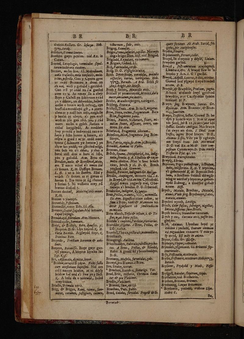 Wi i | I | | T n I J ! ! t NI l l E l ii EL B theirio. RuAare. Gr. .&amp;piuyo. Heb. | wiburmum , [lolo , onis. polardk. || Brigog, Rame]us, idus duse d ! Bréthyus Promus laneus, | Briger,Coma,cefaries,capillus. Morwyn E gwyn. pentan. vid. Ex. im |... dcga briger lJaes, Hi(l. vid. Brágod. ^ Curan, T Brigladd, E xputare, extremare» Breuad, Letophagus, vermiculus. fepsd- |. Brigwn, Gobed, Ll. torumtadavera exedens 1 |Brily Pammeulus, cerdo... Breuan, mclin làw.. L1. Molendisoms, | Brifg.D: G. Veftigiaiimut, - anéla 'trufatilis, mola verfatilis, wola- | Brixh. Déverficolor, inaculofus, paculis trit piflrilla, Gan: y.ymru.gync | — refferfus, variws, variegatus.. Heb. yr ocdd -Brcuanàu, a droai. yn | — 1Y3» Barwdb,...4 Bri. Brikh fit ch wai, wedi y gofodid i gerdded. | — dal. Bright, ait Mip[b. q Msg Gàn 5S. yr ocdd .yn.i'w. gweled | Brith y füches; ;Metacilla avis. uumo 574. Ac me«n lle a elwir | Britlicl] yr ymmennydd,Meninx;dura Bryn y Caftell yn Edeirnionycad | — eatersmentmnpia mater, — yn y-ddaiar, yn ddiweddar, baladr | Britho, A aculisrefpergere, vari melin o haiarn wyth, ochrog,. cyn | Brithog, Frigusa. Brichyll, Trata. J4rm. Brizcll megarus. Briw, Noxa, vulnus, fragmeytum. Bara Briw, fragmenta panis. Briwo, .Necere, vluerart, friarty mi- macn mclin o gylch /lathen o |: autism feeare, dilfecare terere, eon- cithaf bwygilydd, Ac meddant |, . ferere, Sic crm. i hwy yroedd y bedwarcdd ran o o- | Briwfwyd, Fragmenta. borum. lwyn y fclin honno q haiarn, a'r | Briwhion; Mijoe, fragmenta. fug. Briw- relyw o gocd : ac yr. ocdd maen | — fiónyn, tynnu ( Adamant yw hwnnw) yn | Bro, Patria, regio, (ie rmt pl.Broydd. 1ihyw fan ynddi, cu gliccicd wifgi, | Broaidd, Ammous v? aliis. neu. bob vn o'r ddau, y rhai a | Broccen, Sisus. batrai iddi dioi o honi ei büa, | Broch, Spuma, cMetapboricé, Ira, imdig- u egart. braffed a morddwyd gw, a phen- clwmar y. naill bea iddo, megis lle y buafai yr. olwyn,..ar pen arall wedi ci. yíu. gan 19d. yno y .cad rculum, zzola : &amp;* Bceulimaf, Mole; are. Y macn vchaf a'r ipaen ifaf iT freuan. K. H. Dyffryn Breuan., L..G. i wr o Sir Bentro, Elid y wtach i'r freuan, er ei genau ci ' hunan 4. Tra retto yr óg rhetted y frecüan f. Ni waftatta mwy ná breusn dinfuel f. | ! Brcuan dinfoel, MolatrufatHii timor. K.H. Breuan o ymenyh. Brcuandy, Piffrinum. i Breuanllit, maen Mifo, Ll. 4tfío. Breuanr,G utar jugulmn-Afal bréuaht; Capri [Àrynis. Brcuddwyd Somnium. drm; Hunure. breuddwydio, Somniare, — matio cbolere, Mac 'n fawr braich ynghod. vid. Gwarac. Brochi, Ferecire, indigwari.Gr. figu oor Brodio, Achpingert, intextre. via. &amp; x. in.Brwyd,€5 vid.an binc Cyfrodedd. Angel mwyn yngwcly. mai, O ba- radwys a'i brodiai, D. G. frbanadl, Brodorion, Indigene, 45/51. Bron,Peéfus, mammas vver, miattmilla. Sic drin. Significat eliam collem , vt detur fignificare ob —[militueincin JROBlculi. Bron alarch, Tefta cr tefium, i. &amp;- Te- fint mui. Sepia pifcis. Broridu'r ewynu;Pardalaspluviaris. Brcyron. D. G. Llys treyrol. K. H. Dominus Baro. Brcytdir, Prediuw Baronum € nobi- hun. Breyres, Barom[[a. Breyt gwyr gwe- ryl ymwan; À bfeyrcs loywles làn SS KMS 0 | Bri, e/£flimatio, dignitas, bonor.  Briduw,cerrupià Biydyw. | Fides faifa cum atteflatione baptifmi. Nid .ocs cr€d namyn briduw, aé ni ddyl briduw fod ond a'r law yn y llall. K.. A holo da o addéwid ,. holed trwy friduw, «i 1 Briallu, Prisule veris. Biig, é7 Brigyn, Rami, ramus, fut» mias, cacumen, falligium, culmen, DÓ6:,valve, Bronfell,T borax,pettoralepmnaimmillére. Bronfraith. Brongengl. 4£stilena. B-onrhuddyn, Rabeculayubellio,erytba- €45. A4 Bron, Peílus, &amp;* Rhudd, wd A grudd fel y bronrhuddyn. G KT Bronwenp, Muflela, furuntulus, gale. Browys,pro Brawus. à Braw. Bru, Vénter, teras. * Brücheri, Scatebra, fcaturigo. Tw» Brud, Brüc, Hifloria, Cbromka. Smmi- ur. € pro P'aticinio. Prudio, atjinari. Pn * Brüned, lláw, ait Ll. Brwchan, Puls, pultis. Brwd, calidi, fervidus. Proprie We Li. Drwht. b R quore ferente. Ab Avab. Darid, fri- gidus, pér Aptipbrafin. Brydio, Feruere. Biydaniactb, Feruor, calor. : Erwyd, Ile shwymir y ddylif, Liniam. Brwydau gwjdd. ie Brwyd, J7n[humentum ' acupingendi. Lwembard, £c. A brwyd law fu n bredio y lkn. L. G.i gwilid. Brwyd, J4djet£. Lacerus, tritus, attritus. Gnawd bod yfgwyd fiwyd friwdell NCCOY ge m rwydr rwydrin, Prelium, pugtta. Afaeh eins bwyl iotiad brwydrin, eryr Cacrfyiddin fyddin feiddiad. BI. F. Biwyn. fig. Brwynen, Iuxus. Gr. Éeuxucy. Arm. Brocnen; €» Broc- nc, juucetum. Biwyn, Trifüitia, lucIus. Gnawd !lc bo dyfr y byddbiwyn f. Ni/2 vf aqua Ubi Junci, fob 8. V1.fie ati yim vbi luélus. Locutio ambigua. Mac brwyn im dwyn am dani. I. Deul. ite Triflis, iugeus Bryd brwyn. D.G, nitus £ii[lis, Vihr yw fy nghwyh am írwyn fraw. Iolo. Marwzad D.G. vid. Ex. in Mcdr.. 14e com- pofitum Cymmrwyn.D. Dde. reddit Trifhis in Pfal. 41. 10. Brwyniad. £ncraficbolus. | Brwyfg, Ebrius. ledix, lecifternia, K. H. Y bryccan, a'r gobennydd K. H. Bryccan]led- lwm, a lleniliain frafdol] ddrwgli- wiog ar warthaf y bryccan;a goben- nydd Jdwag, a thudded gofudr amaw. Hift. Brych, ;Macsla, Brychau, Macule, &amp;tomi, Vude fag. Brycheuyn,Labes, tnacula, atemus. Brychni wyneb, Lentigo. Brych, Coler fufcus, [ubniger, migellus; Beticusbifpanas.fam.Brech. Brych buwch; Seeundine vaccarum. D:ych y cac, Curruca avis, pa[ftr tro- glod;tes. E Biyd, Amimus. Llymhau bryd yr ciddaw i ymladd, Suerum ammum ad pugvandum exacuere. Y maeyn fy mryd,: E(: mibi in animo. Brynn, Collis. Gr» Quy(G-. Bryncyn, Cippus, colliculus. Brynaich, yf2otiiaid,- LL. Britanni fép- tentrionales. ' Brjs, Feffinatio, acceleratio. Biy(io, Feflinare, accelerare-Heb.n 3, Baracb. BryGawr, Prydydd y Mocb, Fefi- nater. Bryfgyll, Baculus, (ceptrum, fcipios Brytheirio, vid. Bcetheirio, Brython, Britanai, Britones. B:ythoneg, Lincsa Britanniéa. Habet C. Bu,