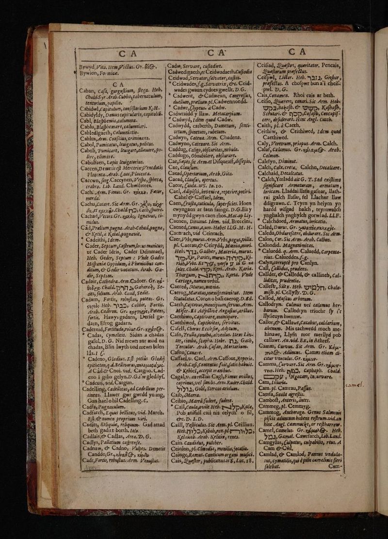 IUS Bywyd, Vita. Item i clus. Gv. BiG-. Bywion, Formice. | GA | chm, Cafa, 'gurgnftn, (lega. Heb, Chald.S yr. Arab.Cubbas tabernaculi, tentorium, papilio, Cabidwl,Capitalum, conf florum K«H.. Cabidyldy, Demuscapitularis capitoli. Cabl, Bla(pbemia,calumma. — Cablu, Blafpbesmare, calumiari. Cabledigaeth; Calusiatio. Cablus, ry. Conjcius, cvimmats. | Cabol, Pumicatus, leuigatus, politas. | Caboli, Pumicare; leugartsallenare, po- |o dire, elimare. | Cabolfaen, Lapis leuigatorius. | CaccenjDemeuis eft MerctrixsVenedotis | Plagcnta.-Arab. (,aac;P lacenta. | Caccwn, fing.Caccynen, 'efpa, [pheta, crabro. Lib. Laud. Chwiliores. i Cach: j4rm. Fituus. Gr. «gx; Feetor, | merda. Cachu,Cacart. Sic 4 vm. Gr. ns Xd die yay ya. C bald.y42, Cacby[puere. Cachad,Vecors.Gr. 49x06 Ignmavus, ti- 7hidus. Cad,Prelium, pugna. Arab.Cabad,pugna , € Ketilya Katal,pugnavit, * Cadcithi, Ide. * Cader, Seprum;Caftrum,locus munituss vt Cader Idris, Cadcer Ddinmacl, Heb. Geder, Septum : Vnde Gades Hifpanie Oppidum; à P benicibus con- ditum, € Gadir vocatum. Arab. Ga- dir, Septum Cadair, Catbedra.Arim.Cadocr. Gr. yg- des, folium. Arab. Caad, Sedit. | Cadarn, Fortis, robwflus, petens Gr. | ctesde- Heb. 32, Cabbir,: Fortis. | Arab. Cadiron. Gr« yaeeegs, Potens, CM Cadw, Servare, cu[todirt. Cadwedigaeth,e; Ceidwadaetb;Cuflodia Ceidwad;Servator,falvater , cu[Iós- * Ccidwades,f.g.Servatrix , Cc. Ceid- . wades gwaun cydoesgwellt. D.G. * Cadwent, &amp;*Cadwenn, ceptus duellum, preelium.pl, Cadwennocdd * Cadwr,(lypeus. à Cadw. Cadwraidd y llaw. Metacarpium. * Cadwyd, 1dem quod Cadw. Cadwydd, catberth, Dussetum, | feati- cetum (pinetums, vabetum. Cadwyn, Catena. Zryy. Chadena. Cadwyno, Categare. Sic. Arm. Caddug, caligo, obfcuritas, nebula. Caddugo, Obubilare, obfturarte —— Cac,Sepes.fic Arm.et Difqucaff diffepio. Cae; Claufum. Caead,Opertorum, Arab,Gita. Cacad, CLau[às, opertus. Cacor, (aula. WS. 18. 10. Caci, Adipifci inp eni ve, reperire potiri. Cahel e? Caffacl, 1dey;, Caen, (Tuflaycuticula, (uperficies. Hoen | ewyngaen ar faen faingc. D.G.Eiy | mynydd gwyn caen rhos.Mac.ap Lij. | Caenen, Dipaunut. Idem. vid. Breccini, Caenced,Canus aum. Habet Ll.G.M. H. Caen'ach, vid Ceintach. Caer,rbs murus. Arm.V rbs,pagus,uilia. p'. Caerau c C eirydd, Mapiaymuri. Heb. 13; Gadber, Maceria, murus. ros Kr, Paries, murus. ptio» Ki- riab,V ros. Et iJ, verfo 3 in G ve falet. Cbald. yo, Keri. Arab. Karia. Tbargum, t AY» Karta. Vude Cartago, nomen urbis. Cacrog, Muratusyneni)stimitut. Ttem Stutulatus.Coron o bali caerog.D.£d. Caetb,captruusymaxcipium, fervus. Avm. Miftr. Et Adjeétive Auguflusaréius. | darn, Efrog gadarn. 1 Cadernid,Fertitude,roour.Gr. xgerQ-. chadas, Blin lwyth ond mewn bilen lás.1 (- i * Cadeno, Gladius. Eft. potius. Gladij epitbetonq.d.BellevornsyzeAephoga ot 4 Cád c Cnoi. vjd, Catgno. Cad- cno i gilio gelyn.D.G.i'w gleddyf. * Cadcun, vid, Catgun. Cadelling, Cadeliicus, ad Cadellum per- tintas. Llawer gwr gwrdd yuing; Gan haclohil Cadclling. C. Cadfa, Pugnaeulum. Cadfarch, Equus bellicus, vid. March; Efl. &amp; nomen proprium viri. | |! | gaful, D. G. Nid mewn aur mad na I j i beth gaditt borth. 10/6. iCadlais,e^ Cadlas, Area. D. G. Cadlys, Pallatium caftrenfe. 'Cadnaw, &amp; Cadno; Vulpes. Demetis Canddo,Gr., xly43 Q-, xipdto. ere UT ter, cunba, fcapla. Hebr. 3, Gatb, Torcular.. Arab. ('afan, Mertariwm. Cafnu; Cesare. Caffacl.v. Cac], 4rm.Caffout,Reperio. etrab.Cafr, Contentus fuutsfatis babuit. € Kebbcl accepit in anibns. Cagal,v. aurelins CaglsFimus evillns, capriausyuel (inilis.Arm.Ruder.Chaid. 53193, Golil; Sttrcas aridum Caib, eMarra. Ccibio, Marrá fudere, fodere. * Cail,Caulayovile.Heb. rd psKala, Pob anifail cail nis celych. o fil, Cc. D. I.D. | E Caill, Tefliculus. Sic Ati. pl. Ceilliau. Heb r]Y9 2. Kiliabyren. pL 392; Kelaioib. crab. Kelutio ; renes. Cain. Cagdidus, pulcher. Ceinion, pl. Climodia; monilia jocalia, Caingc,Ramat. Canticum organ imufici. NO a eC 5 C A Quef[lorum prefeiius. pwl. D.G. Cais,Cenamen. Rhoi cais ar beth. (Do 3Bakafb. € Nox, Kefbafb, Schitari. € cere, defiderart. Hinc Angl. Catcbs Caith, p/. à Cacth, Cacthiwed. Caly, Veretrum, priapus. Aria. Calch. Cale. — Calefyn, Dioimat. Calchaid, Decalcatus. bardd wifgad balch, teyrnwalch * Calchdoed, Zdrmatus, lericatio. Caled,D»uru:. Gr. 7106, X AY ejt» Calon, Cor. Sie 47e Arab. Calben. Calondid. Magnsaniemitas. rius. Calucddes.f.g. — . Calyncorrsptà pro Canlyn. Call, (alidus, prudens. liditas, prudentia. mifb. pl. Cellyftr.*D. G. Callod, Mwfcus arborum. baru. Calledryn triochr fy i'r IlyGeuyn hwnnw. Callor,c Callawr,Cacabur, caldarium , hinawr, Llyfn mor merllyd pob callawr. 442.vid. Ex, is Athref. | Camm, Cyrvus. Sic Arn. Gr. Kdjs- zruAGQ-- Adinis. Camm etiam dj- citur Visculus. Gr. vijuay. Cammu, ('urvare.Sie Aras. Gr. ya, JT Tt. Heb. ja» Capbapl. | Cbald. CU » 'Ngacatm, Incrvare. Cam, Iziuria. Cam. pl. Camrau,Paffus. Camfía, Seala agye[lis. Camboft, 4Anteris, antes. Cammceg;?!. Cemmyg. Cammog, 4acberago. Genus Salimopis pifcis adunco babens roftrum.vid.am binc Angl. Cammecke, or re(bbarrow. Camcl,Capelus.. Gr. ypaa^ p. — Heb. 9133, Gamal. Cawrfarch, Lib. Laud. Camgylus, Culpatus, culpabilis, rtus. 4 Cam c7 Cw, Camlad, &amp;* Camlod; Pagzus vadula- 1uf, Cymatilis,qui pilis cemelinis fieri filebat. — Cam- ( Came.