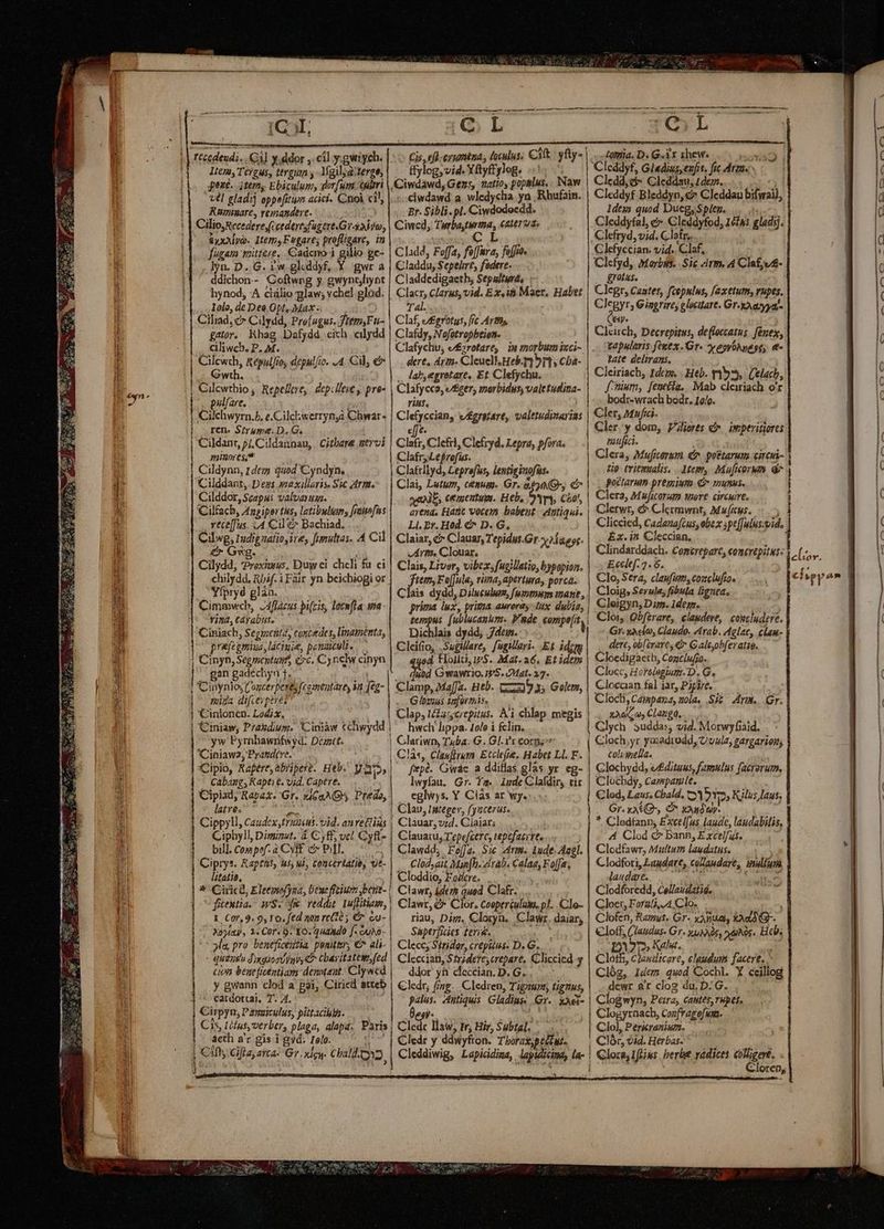d tCcedeud;. . C3] y.ddor ,. eíl y.gwiych. Itera, Téígus, tergum y- Mailyaiterge, jex£.. itemny Ebiculumy, dorfum outtri Vel gladij oppefitum acici- Cinol cil, Rnminare, remandere. y CilioyRecedere (ccederesfagert.Gr-aayo, &amp;yxAlyo. Item, Fuwgare; profligare, in fugam mittere. Cadcno i gilio pe- ddichon.- Coftwng y gwynthynt hynod, A ciülio law; vchel glod. ,,, Iolo, de Dee.Opt,. Max -. Ciliad; c7 Cilydd, Pre(ugus. Jtém,Fu- gator. hhag Dafydd eich cilydd ciliwch. P. M. Cilcwch, Repuljros depulio. 4. Cil, e Gwth. , pulfare. Cilehwyrn.b, e.Cilchwerrynya Chwar- |. T€ Strume.D. G. Cildanr, p/, Cildannau, | Citbare nervi ninores,* Cildynn, 14e uod Cyndyn., Cilddor, Scapu: valvayuam. Cilfach, Angiperths, latibula, fnitofus ,, YeCé[fus. L4 Cil &amp; Bachiad, Cilweg; Indigzaiio,ire, fumultas. A Cil £r Gvg. Cilydd, *Prexivus, Duwci chcli fu ei Yfpryd glào. Cimmwcb, J4flazus pifcis, lacnfla wa vimd,CAyabus. ^ Ciniach, Segment, coscedes, linamenta, prifegmiua, ácinie, pemuculi. Cinyn, Segmentunf, c, Cynelw cinyn : gan gadecliyn f. mia di(ceyperes 'Cinionen. Lodix. yw Pyrnhawrfwyd. Deasct. 'Ciniaw2, Prand(e. Cipio, Kafére, abiiperé. Heb. yap Cabang, Rapti €. vid. Capere. Cipiad, Rapaz. Gr. xd Predo, latve. teer d dpt Cippyll, Caudex ,truacus. vid. anrettias Ciphyll, Dimizut. 4. C yf, vc! Cyft- bill. Compof-4CyRE Pl. ^ Ciprys. Rapras, us, wi, concertatiey vt- litatis, i * Ciricd, Eleemofysa, Deueffcium ,beue- fientia.. ws. reddit. 1u[Hitiam, I. £07,9.9, 10. fed gon re(30 ; € cu- A054 , 1« COr« o. 10. qUAAMO f uNo- Cis, efl-crumiza, loculus; Cit | yfty- | ftylog,vid. Yftyffyleg. -..ciwdawd a. wledycha yn ,Rhufain. Er. Sibli.pl. Ciwdodocdd. Ciwcd, NEA. €&amp;teT 0d. C Cladd, Foffa, fo[fara, fo(fio. Claddedigaeth, Sepalturd, : Clacr, Clarus, vid. Ex,:&amp; Maer. Habet Tal. Claf, ufigrótus, [rc Arts, Clafdy, Nofotropbeion- Clafychu, e£zrotare, in morbum inci-. dert, drm. Cleuell Heb1 901. Cba- ., lab,egrotare, Et Clefychu. Clafycco, Ager, morbidus, valetudina- rius, Clefycciàn, v/£gratare, valetudinarias c] €» C d. Clefri, Clefryd. Lepra, pfora. ClafryLefrefur. —— Clatrliyd, Leprofus, lentiginofus. Clai, Lutym, cenug. Gr. &amp;6909-, € ae, cementu. Heb, 9'ym, CEo!, arend. Hanc vocem babent. Antiqui. Ll. 2r. Hod. &amp; D. G, Claiar, &amp; Clauar, Tepidus.Gr aee. Arm, Clouar., Clais, Liver, vibez. fugillatio, bypapion. ftem, FoJula; rina, aperturas porca. Clais dydd, Dsluculum, futi inane, prima lux, prima aurora lux. dulia, tempus [ublucanum. Funde copmpe[it Dichlais dydd; dei. Cleifio, .Sugilare, fugilari. Et idgmm uod. Hollti, WS. Mat. a6. Et idem .. qubd Gwawrio. WS. Mat. 27. Clamp, Ma[fa. Heb. 2:39 35 Golem, Gloraus tiformis. —. Clap, tz cycrepitus. Ai chlap megis hwch lippa. 4ole i fclin. Pe n my e d Dateien d. V Us RAINER tt cc lt qo quuct imi UU UMEN cc UEM A. fepà. Gwac a dditlas glas yr. eg- lwyfau. Gr. Ya. iude Claídir, tir eglwys. Y Ciàs ar wy. Clauar, v;d. Claiax; Clauatu; Tepefcerc, tepefacirte Clawdd; FojJa. Sic Arm. lude. Ail. Clod,ait Min[h. rab. Calaa, Foffaz, Cloddio, Eodere... : Clawr,; ide; quod Clafr. Clawr, &amp;* Clor, Cooperíulam, p!. .Clo- riau, Dim. Cloryn. Clawr. daiar, Saperiices terie. ; an benefieentiam deaotaat. Clyacd ddor yn cleccian. D. G. - cardottai, T. Al. Cirpyn, Panuiculus, pittaciubn. | ácth a'r gis i gyd. relo. palus. Antiquis Gladius Gr... xÀei- Üesy- ' L Cledr y ddwyfton. Tboras pedes tona. D. G.ix ihew. 755 Cleddyf, Gladius,eufis. fc drm. Cledd,c Cleddau, 1dez. Cleddyf Bleddyn, c Cleddau bifwall, dejo quod DuegySpleg, Clefryd, vid. Clotr.. Clefyccian. vid.. Claf, grotas. Clegr, Canter, fcopulus, faxetum, rupes. Clegyr; Giggrire, glocitare. Gr ayyas ey. Cleirch, Decrepitus, de(loczatus. fénex, tapularis fegtx. Gr» yepyóNpage, t tate delirans. Cleiriacb, 1dczx. . Heb. 155, ('elach, fum, fentíla. Mab cleiriach o'r bod:-wrach bodr. 10/o. Cler, Muf... Cler:y dom, Fliores c. impevitiores nufici. Clera, Muficersm €. pottarum circui- Ho tritmualis. ltem, Mu[icorws d pottarum. preginta. C viutuse Clera, Muficorum were. circuire. Clerwr, &amp; Clermwnt, Muitus, Cliccied, Cadauafcus, obe x spe(fulus.mid, Ex. in Cleccian. Clindarddach. Comirepare; conevepitus: Ecclef. 5. 6. Clo, Sera, claufutt, cozclufioe Cloig,; Serule; fibula ligata, Cleigyn, Dim. 1desm. ! Cloi, Qbférare, claudere, concludere. Gr. xàclo, Claudo. «rab. Aglac, clau- dere, ob[érares € € ale,ohferatie. Cloedigaetb, Concíufzo. Clocc, Horelagiugr. D. G. Clocaan fal iar, P3pie. Clocli, Cayspaza, nola. .Siz Arm. Gr. 32005 Clatgo, Glych 3uddas; vid. Morwyfiaid. Cloch,yr yazadiodd, Cvula; gargarion; colyiella. Glochydd, e£ditaus, famulus facrorum. Clocháy, Campanile. Cled, Laus. Cbald. (2A 2'p» Kilus laus; Gr. xa&amp;(G^, £ xod. 4 * Clodfann, Exctl[us laude, laudabilis, A Clod c bann, E xcelfas. Clodfawr, Multum laudatus. Clodfori, Laudare; collaudare, inaliam laudare, |. T ofa Clodforedd, Cellaudatid. Cloet, Fora/i, 4. Clo. Clofen, Ramus. Gr- xÀnttei, kàdd G- Cloff, (laudus- Gr. y uA s, 54s. Heb; D», Kal, P Cloth, c/audicere, claudum facere, Clóg, 1dem quod Cochl. Y ceiliog dcwr ar clog du. D. G. Clogwyn, Peira, cautes, rupes, Clogyrnach, Confrago[un. Clo], Perieranium. Clór, vid. Herbas- Cloren, ! | | f | cior, | 2 21? AT. p dédiée | 4d E D. I | 271 ste U DERE