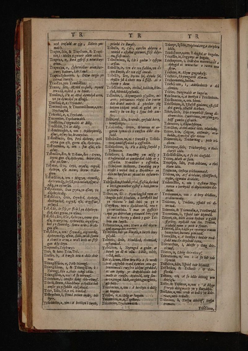 ed trofadd ar gip. y. .Dithro-ym- |. priodol ir lyyth. Per A T ^n  : Kübula, e, carr, carrfem ddyrzm a Trapes, eris, &amp; Trapetum, &amp;.Trape- cus,i ; Melin y gsaueir olem ynddi, n9, ffufl-vpial. [724 Fr 8 : : Tribiílis,is, Un o'z va fyddinywn dr vit lwyib, gr «n cff cenedi. * arn. - ^ V Td vs  Trapezirs, e, (yfnowidiwr arien baz- £ntrs Batbwr, Lib. Laud. cynzal byerdd. TT dryllio 3d à charr meu à ffüfl- Ac o Trauého, pro Tranfüéhos «5. bymy y dam AA ien En Myued trofodd; nysed Tribiflatio, onis, He/bul, beldrin, blin- irmodd,mystd y tu buit; f)d, blinedd, cyfiudd. i Traulus;i, 77 ac: ttal dywedyd arn&amp;; | TiYoulus, 5j Rbywogaetb Jfgattes, tüi- va ya dywedyd yn afiugt. : aret. peirianan rhyfel im bwrm | Trecenij 2, a: Tryebaht, dau dratd meirch. 4. phedair . pig Trecentenus, &amp; Trecent&amp;(imus;ajum: |... aiara iddynt wedi ei gofod ym y Trychanfed. | | modly be vn bie i fyua bob. am- Trécenti,z, a, Trychant. fers zi Trecenties, Trychanwaitb. «.: Tribumal, alis, Browdle, gorfedd bar, Tredécies, Teirewaitb at Mg. v hwlfaigee | Tredécim, Trà ar ddég. Tiiouaalia, orum, Glawmau ac ar- | Tiémebundus, a, um. : Dycbrysedig, |. gaeaà tyvwaieeb i vwyftro dvor. dro- 0fitus, ar[9yJus, bravoychus. ||. fodd. Vile diy Tubü | Tr&amp;mÉfacio; ére, Per dycbrjg, peri Tribunatus, us, ui ? Syd. V age erynu gan of, gyrru ofi, dycbrynu. |: nus; attddiff yuiad y «yfrediu.  TiÉmendus, a, um :. Zw efü, ofa- | Tribünirius, ii, Va a ddág fw)dd y adwy. Tribunus. ^ Tiémiíco, &amp;re, &amp; TrÉmo, re : Cryes, | Tribünus, i Smwyddog ym nie y eryità gan. ofit, dycbryuus - bravoyebu, | -— Rbufeiniaid ac awdurdod iddo ar y ofui ya fawr. oyfredin. Nowddwr y cyfredin. | TrÉator; oris. Cri, erysfay ergryd, : Tribunus tàilitum, Swyddsg yuy dychrys, efa maver, brass. Dalar- kbyfel i weeled. bod. y. lluyddwr. yn «enm dda eu harfau ac. ya cael eu. cyfiaw- | Trémiílus,a, um : Hygryns - crynedig, den. t i du dychryueig, ferfyllyn boxcia fzwjd- | Tributo Sce yRboddis rhoi, ffafrio darbod edis, yn cyw/au. |. o betbovodeutbur cyfrif o betbveryo répidanter, Das grita yn ofaut, yn |. anytaera ar. | 4i, dghe dig. £ryità, ya ofuus, y Tribus, us, üi: Pymtbegfed n ar | Tr&amp;pid itio, onis, Crysdod, dyshvyg,| | bugain pobl Rbufain o berdy He dycbryadod, ergryiy- ofa; avgyffwr, ys rbaaus v kel bob ya 35$ | ar[ypy]1. , Umylbau,. mes'o dfyddinsedd, neu o Té ide, 4r Foy fri Lyn ddycbrys- | gamwriaetbau, Y mae yn £yfelyb Jjd, daz gvyau, ya ofaus, | venas yn deirerham. y rheuiid byoy e yut Tcépid ace, 0/2, dychryau, tym gan at rai o byuty y daetb y gair Tri- eft, braveycou, cytbraddoyareyiyra;| bus ám Itb. Ar ede bod y fynaedie, fynita ario $3 bryfis | Tributarius,a, um: Hw a-dál deyrn- dere temenri tn i 44 oft. : &amp;eel teyr nao rial, ^de brat. Es a,um: (rynediz, evavyaedig, bears Bab: yu llyoytb;o.Iywytb bwy j medigs vfus, fyanyswzdifysmi:|— gilydd. i uasa C. | kjiG Ta A sued fr: d jam, Rboddiad, rhanniad, at ddy:brya. eueesu] onpfratniad. |a Frcoondas TUphsi- 1 E oun i Teyrnged a gider. ar — iTtés, &amp; hzc Tria, tvi, JQobawb yn 6L ei alus SYodty trétb, LTtefüis, is, 4 byoyfo. ati 4 dulo:dair Cy dl, itl, ou Yricz; arum, blew Weg blp a fo wedi tadrod yitgbyleb tratd cysmion utu. go- lommesnod i vyey(ivo iddywt eerdded, Teiranel, ln a,tbair coal iddo. Vat aps. by. yr» diiyddocoda. bób |Friangülus, a, um: 4f f: teirongt,: math: ar rr, Ztjabedd, catg fsm- Triatchus, i, Meiftr. long. deir-rlwyf. | - vtmtrastoegui bách, coegbéthymwagbeth, ,T'ciarii orum; Llyeddwyr af yddai bob vowferbetp. vorm aH amfer yay. fyddin olafoliaid. Tricenarius, a, um : A4 Berzbyn.3.d A Trias, Adis, T/4, y tri, trindad, 3 vya. Pugain. LIP oii Tribrachus, i, T'raed ezeven Pydv, - tri Triceai, 2,2: Dég ar hgain. Dve | byrr, AT Tricenteni, ze, a, T rycban/; uot ing à Tribuárius,a, um: 4 bertbys i byytb; | Tricentics, Trychamiditb. WAS. | Tciangllaris, e, Derb teirougl.s ii Triangülum, i, &amp;. Triangülus, &amp; : 61 1 . wv US. L * i Tes Vpitis TripbeuiaYr a tbriphou iddo, | Triceffis, is, Deggsvys ar bugain, dybygid ej wüeutbur. 0 raypn Meu 2 dm Tichias, ze, Rbyw grogenbyfz. | Trichonsanes, herba, Trichorum, i, Adeiladaetl | 9. dig | chbylas, Tricies, Dezgmaitb ar bua. Triclinaris, e, 4 berrbya i Tricliniurm, | nc mwiuy, 2, um. Idem. | Triclinium, ii, Yf2af2ll aipiaypa d dri gwely, ud Pru UN i | Trico, onis, Dn trwyidyif farrsg di- Chweribin. Cyunbetmus, yes f/en-say, | bóff. gautbo gyfraitb. n Trieoccus, ij Ry lyffenyn. Tricolon, A tbri aelad iddo, triaelodos. | Tiicor, aris, (1g252, eelhrair, ara | beddu, dywedyd ofer eiriag. | Tricornis,e, Tricbertiog , -pejb tri- chorg. | Tricorpor, Oris, Tricborpbos, a tbri- cborph iddo. Tiiciibicalis,e, 4 fo tri cbufjdd. Tricus, Matb ar faen. Tricnfpis, idis, Pezb triblaeg, a thri blaen iddo. Tridacna, Qeffrys tritbammaid. Tridens, tis, /4rf dridaiut, yfieilforcb, tryfer, cigwoaim dridainr, | Tridentifer, a; um :— cyfemw Nep- | funus o beriydd ei deyrmwielen dri- | daisit. | Terdaanus,s, um : 4 ber dridian, | tridivermodig. | | Triduum, i, Tridiau, yfpajd tni di.| wraod. | Triennis, &amp; Triennalis,e, Teirblypsdd. Triennium, ii, Yfpaid tair blyzedd. Triens, tis, B&amp;tb ariae byebam o gylcb | fyrling, trydjdd. van As. Tráiam, trydydd vamm y. petb a fynnev. Sextarius, bazxep. pitiiaid, Trientalis, e, A4 bertbyn i bedair mod- fcdd meu i'r:drydedd rang, Trierarchus, i, Aeifir J Wwe dir. rhyyf. : Trieres, is, Llozte deir-bwyf . | Trieterictsy.o, um $4 fà 59b tai; | blynedd. Tiiéreris, idis, Y/jaid tajr blyntdd. Trifáriàm, &amp;. Trifarib 5^ Q^ qa. 'fforda, : , Irifaux, cis 44 fo iddo Qércey wen te deirfafu. 5 lrifer,&amp; Triferus a,um : ^4 ddygo firveytb deimgwaitb ym y Fynyddys. v fban, petb-tribolft. '£rimaes. Tüfslium, |