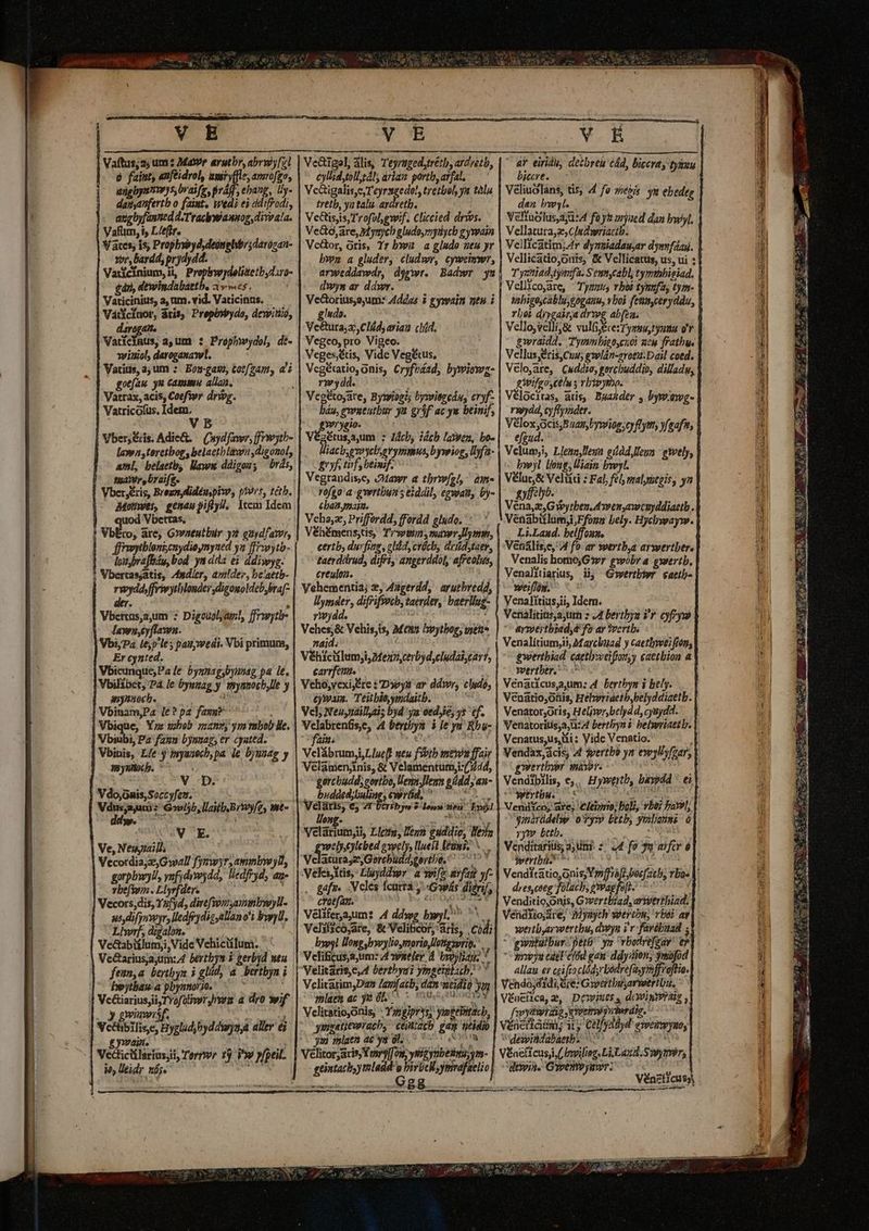 Vaftus;a2; um ; Mawr arutbr, abrwy[zl 6 faíit; pt umsry(fle; apsrofgo, angbysmys bvaifg, praff, ebaug, lly- dapponfertb 0 (s pan ei i ado, angbyfanned d-Traclwamsog divvala. Vafum, i is Llefir. Vates; is Propbyoyd;deonehbr;darican- Yor, bardd, pida. Vaticinium, ii, bw pdolitetbylr- £s nwadibicih, dv mé, Viticities, a, nm. vid. Vaticinus. Várictnor, áris, Propbyydo, dewitiie, daragaite Varicinus, a,um : Prophwydol, dé »viuiol, davoganaw!. Vatitis, a; um :. Eon-gayo, tot[zam, ai got(au. yn cam alla. Vatrax, acis, Coefyer dryvg. Vatricofus, Idem. VE Vber; &is. Adie&. — (uydfawr, frwytb- lawn teretboe, belaetblavon ,digonol, aml, belaetb, Maww ddigous Urás, maar, braifg. Vber;éris, Breve, didénspiw, p!9r*, tétb. Motbwes, genau pity, Item Idem uod Vbettas, VbEtro, are; G»aeutbur 5? gudfat, ffrawyibleni;cnydioynyued y? ffieyib- loibraffsu, bod yn ada ei ddiwyg. Vbertasjatis, Adler, api!der, be'aetb- bcm ffiriwyrhlondes digowoldeb,bra[- Vica o Digouolyatl, ffrwytl- lawn, eyflawn. Vbi,7a l6y5'le ; pazwedi. Vbi primum, Er cynted. Vbicunque;Pa [e byntiagbyunag pa lt. Vbilibet, P4 le byunag, J mystoch lle J anynnoch. Vbinam,Pa le? pa fagu Vbique, Ye wbob mant, yrs mbob Be. Vbiubi, P2 fn byusaz, er cyated. Vbinis, L/e J eeem qd le, bjunag y myullocp. * V D. Vdo;onis,Soccyfen. j Meran Gljb, La Bro Wes 2. : V E. Ve, Neujiaill, Vecordiaj2, G wal! fymwyr,ammbwyl, garpbwyll, ynfjdywgdd, ledfryd; dj- vbefvn . Liyrfdevs Vecors;dis, Y5fj4, diréfwrryaminsyll- us, difynveyr, lledfr dis alan o'i bwyll, Llwrf, digalon. Vectabitlum,i, Vide Vehicilum. Ve&ariusa, um: 4 beytbys à gerbyd seu feim,a bertbyn i gliid 4 bertbyn i| PSU RECI , |. bytbas a pbynmorio. Vc&iariusji,TYofaliver rura a dro wif y gwiuwif, ec Hygladyddwynj aller ei Vecinos Terror 13 Vw yfpeil. io, leidr tse Vc&tigol, ális, Teyruged ré? th, ardyetb, cyllid,tolltál; arlam porth, avfat. Vc&igalise,Teyrzsedo!, tretbol, yu tola tretb, yatalu. ar Tetb.. VcHtisjis, Trofulygwif. Cliccied dríos. VeGoare, Mynych gludo,myiych gywain Vector, oris, Yr bw a glado veu yr byen a gluder, cludwr, cyweimwr, arweddawdr, drwr. Badwr yu dwys ar ddwr. Vectorius,ayum: Addz« à gywain ntn i gluds. Veétura,z,Clád, avian clíid. Vegeo, pro Vigeo. Vegeséis, Vide Vegéus, Vegéuatio, Onis, Cryfo£ad, byrinwz- rwdd. .| Veg&to;are, Bywiogis bywiezedus eryf- biu, gueutbur ya gróf ac ye beim, £»rygio- Végétusaa,um Z4cb, Hách laywen, bo- lliacb,evoyeb,erymmus, bywiog, llyfa- gy tif, beimif- Vegrandise, Mar a tbrw[gl am- Yofgo' a gvertbun s edil, egwatt, b- Cbatgmain. Veha,e, Priffordd, ffordd gludo. Véhémens,us, Twin, mawr,llymm, certb, dufitg, old, crócb, defidstaer, taerdárud, diffi, angerddil, afreolus, creuloa. Vehementia; y Aagerdd, | arutbredd, Uymder, difrifsvcb, taerár, baerllag- 7wjdd. Vehes;& Vehis,is, M enn ivytboe, wyeh. aid. Véhicilum;i, Mex, cerbyd,cludaicart, carrfem. Veho;vexisEre i Dyys ar ddwr, cludó, £jwaia. Teitbie,ymdaitb. Vel; Neuysáillyiis byd ym oed,je, ys tf. Velabrenáse, 4 benhyn i le yu Rbu- fain; Velibrumj.Llueft L7 fiib meon ffair Velamenjnis, & Velamentum,i:(744, gercbudd;eoribo, Vems Jen fd; /|44- ,. budded;buline , cwrfid, Velaüris; e; 7t baribyw $ lonn: bu ost llong- | Vetarium;i, Llezn, Denn pilis, Bea wlyylebed eeely, llueit lumi, ^. Vc arurasz, Gerchü dgorthe, éab Veleisttis,: Etuyddiwr a spifx afa y- .. gafi, .Veles feuira y Gowhs A crotfan. Véliferaum? 4 dde jy | Velifscojare, & Velitcor, aris, . al byoyl lowg joypylio mori Letgsprit. | Velificusa,um: 4 owner 4 byoyliank.' ; | Velitaris,e,4l Pérthysi ymseiglicb. Velitatim,Daa lavjaib, dim dio | mlaen ac yu 0L. Vclitatioonis, : Yagpeg ymgelitach, gugatiewracb, ceittach ger seidio gu beret » Edid pie Vélitor;aris, 0g, yMig ym eir; n- emi J mid. : rie odilio vm n 88 — a —À Y. B df eiridu, detbreu edd, Diccray tyiuu biccre. Véliuolans, tis, 4 fo sevi yy ebedeg dan bw. Veltuolus,a;d:4 fa yh zryaed dan bwyl. Vellatura;zs C/ndhwriactb. Vellicatim; 4r dyziadau,ar dyvfdad. Vellicatio;otis; & Vellícatus, us, ui : Tyeniadytyenfa. S eum,cabl, tymmbieiad. Vellicoare, ^ Tyzzus vbt tyunfas tym- tahigoscabluygoganu, vbok fetmyceryddu, loi diygaitja dre abfea. Vello,velli,& vulfi cerTymmsryuma o gwraidd, Tyesvnbieo,cuo! utu frathu. Vellus;eris,Cuu; gwlán-zrott.Dail coed. |. Velo,are, Cuddio, gorcbuddib, dilladw, rifgoscthns rbivy Vélocitas, atis, Buaá der ; bywawg- rwydd, cyflymder. Mess ocis B Han,byvolon cy fl yt, yfeaf'e, efgud. Velum, LlemaHeun eiddlleun : ewely, Ineyl long; iain bwyl. eei Veliíd : Fal, fel) malymegis, ya bb Vita 2 Gibyrben dem cwetyddiati. VenabütlumiFfong bely. Hycbyayywe. Li.Laad. belffozm. Venális,e, 4 fo ar wertb,a arwertbere Venalis homejG3vr gwobr a gwertb, Venalitiarius, iij Gowertbhwr caetb- weiffón. Venalitius,ii, Idem. Venalítinsajum » /4 Dertbya ?'y p aymertbiad, 4 fo ar ?vertb. wertbiad. caetl»eifor,y caetbion a wertber, o. Venator;oris, Heljwr,belydd, cyuydd. Venatoritis,a à: A berthyn i bebwriattl. Venatus,us,tii: Vide Venatio. Vendax,ácis; 4 dvertb? yn ewyllyfzar, gwertbyr mayor: j Vendipilis, e, Hywertb, bayydd - €i Wertbu. | VendYco, ave; 'eleiyrio; EoE, vbei FaXl, ginirádebp 0 Py» Bt£b; yialanni ó . vyt? btb. Venditariüis, 2, Uni: : «lA fo D fir é verbi ^^^ Venditatio,onis,Ypffráfi eft, rba« V. dres,coeg fülacb, gywagfo elt. yaych erthn, Tb6i ay wertbyarwertbu, dwya i v-farébuad ; gialulbur eno ys bodyefzay' e povys edeletód gan: ddy2ion, ymofod allau er ceifraclód; yrbadrefisymffroftio. Fieri aee RE i dew. i; ont Vénzficus 3 LIRM $2 SEE ce aen a ram 2 19 tW» CMM. * [87s bees: Sad ATE Me mM MM €—— a À—— Á Ya mSLi ERA NEC LOISIR Tags TS PELA CEP - 4j asma Ji yia Me
