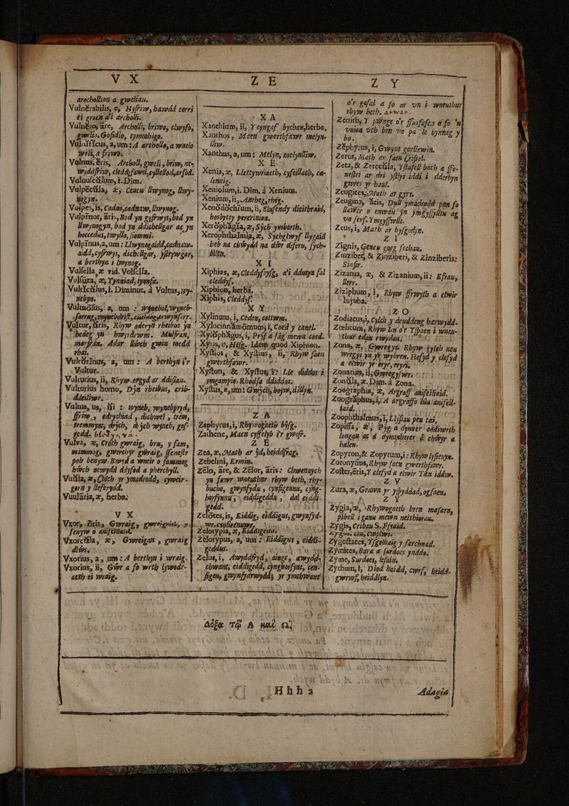 . arachello a gwelíau. él: groet a£ avcbolli.. welt». Gofidio, tymmbigo. tyeli, 2 friwbs | ;| Valnufctilum, t-.Dim. Mey. Vulpes, is, Cadito,zaditaw, llvvysag. boccedas, twyllo, [iawmi- &amp; bertbyn ; lyoynog. Vulfella. 2 vid. VolíclIa., Vul(ura, 25 Tysaiad, tyenfa. nebyt. .hedeg ym ^ bwydywm. Milfan, merfan, dar. lpcb gyeia. vedd ybai. LE A à ; Vulttirinus, 23, um s 24 beribytiy Valtür. dar di , Vulcurius, i$, &amp;byso.ergyd ar. ddifian. Vulturius homo, Djz rbeibus, crib- ddeilisyr, gremmyuts deycb, Scb wyneb, gof- ge dd. TE - ' Á J : Vulva, 2, Crótb gwraig, bru, y fam, watpog, gerehyr exjraig, ffeae[ftr por benyw. Bwoid a wentir o famosoe bivcb. newydd ddyféd a phercbyli. Vuifla, at (lózb yr ymadyodd, : eyweir - gort y lleferydd., Vuularia, z, herba; VX | fenyw o amfea, — Vxorciila, 2, Greigat , gwraig dif, Aen Vxorius, a , um :4 berthyn à wraig. Vxorius, di; Givr a fà wrtb lywedr- attly ei wevaig. 4r güfzl a fo ay vn à wneutbur| vbyw beth. av war. Zenith, Y. pec er ffsfofos a fo | brin vtb bth vm pa le &amp;yrmag y 9. ZÉphy:us, i, Gypyzt cerllewia, Zeros, ath av. fae Grifat. £eta, &amp; Zetecüla, Yfafell bach a ff. ueri ar-.dri yfllys iddi à dderbys d gmres qr-baut. 2 ; .| £eugites;.aMath. ar gyrs, ! P Aris, Dyllymádrodd- pap fe AMer o emmau $n Ymg£y[lyllt. ae | vi ferf. Yrogyffli P5 s Z£eus,i, Matb ar byfgedym. ' ET (XA Xanthium, iij Y cyzgaf .bycbanjheiba, Xanthos, Mau gwertbfawr melyn- Um. Xanthus, a, um: Mel yn, zielynlTipe, X E FISSZE .— AG COPS Y deri rm s T aia Xenis, ze, Lletryyoriaetb, cyfeillacb, ca- leni. j Xeniolumji. Dim, à Xenium. | Xenium, ii, /45tbeg, rbég. Xenódóchium, ii, £|yfendy dititbraid, bosbytty pereviuioa. Xeropbágla, ze, Sjcb ymbórtb. ' Xcrophthalmig, 2, Sychgbwyf llygaid | beb sa chYeydd qa dier diferu, [ycho | Lits. 4-] 5Q Sae -* [65.6 » DEN a Zignis, GeXtey coez. fccbas, Zinziber, &amp; ZinZiberi, &amp; zinziberis: Smfr. | Zmania, €, &amp; Zizaniumy ii: Eftau, Verr. 7 Aaa | £izipbum, i, Rbyw ffrssyth a. elwir | UID dujwba- : SS EE 2 F4 ——— jor rt Xiphias, ze, cleddyfoyfg, a dduya fal eleddyf, oom eiit Xiphion, herBá, . 4^ i20 | Zodiacusji, Culcl y deuddeng bayyeydd. | Zoelicum, Rbyyw Lar or Yjpaen à wseu- | tbi edu ripydag; 0 0 | Zona, 2*,. Gyereé ys: Rbyys-eyleb uen. | Wre&amp;ys yu yr wybren. Hefyd J. elefsd | a ebvir yr'epyr,epyri, o Zouariiis, ij; Goyreg y/ wey, c. 17 Zonüla,z.Dim.à Zona, | . A Zoegraphia, 2, Ayíraff auifeiliaid. i rris érgrafo 5a avifeit- 1 iai : ME Xylinum, i, Cedea, cottwo. Xyltios $6« Xyiius P in: Rbys faen gmirtbfawr. ^ yngampie. Rbodfa ddiddas; ..... Xyftus, a, um: Giwjcl, boyw, diy. Zefa Zaphytus,i, Rbywopaeto Dig. — 5. Zathene, Mati oem ir gwefr. Z Zoophthiálmus, i, LIyfiau pem rai, Zopiffa j: £', Pe a dyemer addixvrib | longa ac d. dyummlerer: d, clvgr. a | balen. * Zopyron,&amp; Zopytum;i : Kbyye [yffeuys. | Zoronyfius, Rbyw faca gwertbfawry. Zofter;eris,Y clefyd a elvir Tám iddyyp, Zv Zca,2,.2Matb ar $ds beiddrag, Zebcelini, Erziin. Zelo, are, &amp; Zelor, aris: Cinvensych ys fewr wontutbur. vbyws beth, vby- bucbo, eveynfydu , cynfigenuu, cyng- berfynuu s. eiddigedda ,'. dal eiddi- Zura, 2, Gran yr Jpaiad, og fatus NK d Zygiayz, ^Rbymegaetb. brem ma[zri, pibell igamu men neitbierau, || -Zygis, Cribau S..Ffraid. - ' | 4r$2» 122, Cnplws. Zygoftates, Y gelbaig y farcbnad. geddus. Lospeeu Ue iwbymites,Bara e fwrdoes yaddo. Zclusi, 4wyddfryd aimé, awydd- | Zyme, Surdees, lefaiiz, cinwant, eiddigedd, cynghboifyat, cem- | Zycham,i, Died laidd, cwrf,: pojda. figen, gynfydrwydds yr ymebnaxt| | ewrwf, beiddlyn. | [ - n M aes ou Ó———Uáá(Ó—ÀM À(ÓM——Ó€ MÀ XE X L Ne í 5^ VEU gedd. e | Zclotes, is, Eiddis, eiddigus, gwysfjd- WILOBPEDAIESA ss ni GU Zelotypia, 2e, Eiddigeuu. ro: Aie T$ A Wei m
