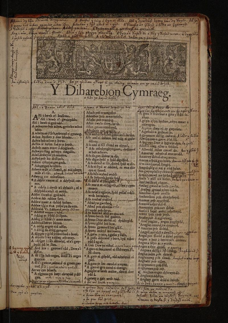 AM S y &amp; / M xn — : , - H  a s ALL A cle vH. o OTYA- nos s T0 d focq e TT  ee nalAr LM , pz Jor o s) azheb 714 2. 4 DTE Nt. j  fawee Vr PHA ere Dd ii uis : Aaa. d gue tyi a EL LP | Ja. : Jod ys dvwy v rÁwy2 a LP YEA 4v MC Koss  Ju Am. ef 4 5; A fs Jt Áo 4 eta: . A61 5v mr o£ $9»: dL wmo, 8 0M. MD ie vr wp vid ovt j e$ i^^ 5* Afiach peb trwmgalon.. j à A&amp;eithus 'pob -mammaeth, Aflafar pob rawedpg... Atlan dwylo diowufwrth. Aflan genau anudonol, JAflednais pob;gwsllr, . jerpa ILCUCE LR ME Afo aml ci £eibion bid wdg.ei;golu- dion; ier la À fo am] ei fel rhoed wn eiywà,... * Afo calcdynghyügaws., dadleued | arbobachaws. . A fo da gan-Dduw ys dir, :..- Afo digwilydd a fydd digolled. * A fo diried ar fór, diried fydd ar dir. | * A fo ei fryd ar ddebed, ni wna dda A. raupwY AP i bawb a'1 bodlono,. * Abl i bawb a*i Bweinyddo. Abl i bawb ci gydradd......'. &amp; achwyno heb achos, gwncler achos iddo. iva: ben A arbettoei F3cb;arbettéd ei gynnog Achos .bychan y. daw liner... Achos lieb achos o hano... - Achos ir byíen. fod ar.y. bar, Achub.macs mawr à drygfarch. Achwyn rhag acliwya rhagddo, ] Adaildedwydd yn ddiddos; ( Adfyd pob hir driflwch... . Adneu cyhyryn gao gat, * Adneugan berchen, i chan. ddarogan. . Box. A'm caroi card, fynghi Adwen máb 2^1llawch, ac nid cdwyn | — cynei fyned. 5 55] Amgwymphén y chwardd iguangc. a fee | acp a'icár. adwe Doro nb auoy * i héviehe Weddr b.s Amar armi tra biderdgesqeta $ Adwyog cae aphwímon, *À fo hyborth hywir fydd. i; LJ Amla r mél trà hiuler, do ]ach qs r bpam v^ | | *A Ju cancar cf .a. ddyfydd can- |^f'íó Ga QU A ur rd Aml boi ]le ni .chaxer.. ) i |^ nos. i; Afo marw &amp;r.cifygwth,a'ifaw y cyme |. Amlwg gwacd ar (arch gyelw, | | A.ddyfo i derth giidylaith ef a || muncr. Uem 5 | Amlwg :gwaed:oben ciách, j | ddyfydda wnél ci waith, Afo nefafireglwys, fydd pellaf addi- | Aamharcd pob anallu. Addas ibawbei gydradd, wrth baradwys, |. ;j Amheuthun pab. dieithrfwyd, Addaw fab. addaw faen, Afo trechaf treified, 1.7, 54 ad ' Amman pob anwybod. | Addaw mawr.a. rhódd fechan. * Afradywgwrthod, ^, 5. * Ammodadyrr dcfod.. ^ | Addawtéga waá ynfyd yn llawen, -. | * Afrad pob afraidv ctf ^. Ammraint pobrorr dcfod. n | Addewid. Vi, Eddewid,jwriia 2922 «w: Arwydd pob dyrys, Amfer i fwyd amfer 10]ychwyd, : 1] * Addfed angew i hen, 4 Atu bencwd aci yadincwd. Afbfet Iydd i bob peth. ) * Addug yr. bydd i'1IHlynn. A fynno barch bid gadarn. Anafus pob .di wgfoelawz. | Addug yt hydd i't maes mawr. A fynno Duw derfid. 4/. dydderpid,. | * Ánat yngi2u , angau yngsyythi, I Adduned herwr birnos. Afynno glód bid farw, Aneglur cennad yw ceudawd,  A ddwg angen nid adfer, |. A fynno gymmell bid glà f. * Ancirian pob diriaid, l | * A ddvg da diwg gyngor? Afypno iechyd bid lawen, * Angall mal dalla dwy]lir. dva a tre ac i A ddygce y g0d ymborthed o honi; - | *A gafas y carn, a gafas y llafn, |. Angsl pen ffordd a diawl psütan, A ddycco'r wy addwg afomwy. *A vw ddyrnod y bore, hyd vcher Angen a bair i benwrach dubio, ] À idyfger i db dduwlu), efa'i gwy« | ..: yddá ag cf. ;'; | ,Angena btya ac a wcrth. | .] s bydd. ddiw .Jlun. .. | A Gaic Duw yn vchaf. A gavt wn 4 jp Angen à dyrr .deddf. X Arria c8 P4 hoyo; 7 b Aed lew 1. gynuwrf cád Duwa'i | * A garoci fam;cared ei é ldtswyn.Yi, | *Angena ddylg i bé Fidi d nat «2 [1i i M v 40514. differ. PN ; Ni charo. Anghariadus pob: diriaid. RYwtg $5, |^ 8l iljs hebneges, docd Ai neges | * A garo ci gilydd , nid adnebydd ci Anghenawg pob tlawd, | nale aw du XJ. Bantaw. |» gabl .. N Anghwb! pob eifiau.. : 1 A el i'r gwarae,adawcd ci groen gare | x A garo yr lau cared ei waryau,. Augnymmen: pob (fóf, | tef. D tl som, sud yield. * A garoci gor cared ci chwegr; Anghynnes pob oer. 1 Aerwy cyn büwch, | A galgler ar fareh malen , dene dor | 4[ Augheu augen dyhewyn dir. i  Aefgynnoyn hwyr.ebrwydd ydi-| yddá, — Bis * Anghcug ddyfrys. j | gyn. aH. omm ber À gatwer a gair wrth Taid. ... heireb, | ^ Ü * Angheit garw drüdai E L^ 1 H piat » adamen na dllan ov enam); ! Á Í jd Qus Hv qmtyfen. t «S ^ Mor myelo. y eM Rel / ( »  | E jJ B. a m VÀ qaiwo Qu cadwt)ve fad fona M 1. Jum, qw modit a  Ys : 4 Éw Mh fana. AMD yan ella VÀ A mtem tton ^ nenoegD, enr / ; Dew 45) At do Dean. ; 4 d Ade dp A CAM $ ym oí Anf A Aolin sa Ls Men p much, AMT : | PP fA» end... ^imnas ef | fía. £ ^» V. 2 mach ^ T | APA F :2  not s od m | as Cram hu me nie boe cows : — —— 2r! * | P eu d oT EXC JJ T n ) E. ^ iis 2d - IKEDVASEN YD COMICO E CUT UM ERE :