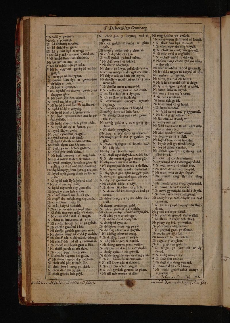* Newid y gwewyt. Newid y pcnwetg. Ni ád annoethi ei orfod.- Ni ad ditiaid ei garu. INi ád y mót hyd ci wregy*- x Ni'ád y mór marwolus ynddaw. * Ni baidd llwér !laa- chelaeth. Ni bu Arthur ond tra fu: «71 * Ni bu eiddil hén ya was, : * Ni bu dgyanu gorwydd oddiat getyl. À Ni bu ?jgu na bai rygas. FN: bara Haw dyn er gwneudhur dz iddo ei hun. ? Ni battra Iynwyn. * Ni- byddaf na thoryn. :dwyh ,'nà chappan glaw UNI bydd Allc heb: waered. i Ni bydd atglaf o glá* wr. 1'* Ni bydd brawd heb Et hadfrawd: : | Ni bydd bádd o ychydig. ^ | « Ni bydd busl o lo(gwrn y ci. ;* Ni bydd cymmceh ncb oni fo yà* | fyd gvffcfin. * Ni bydd dal ty ar fyaach yt. | Ni bydd dialwr diofn. Ni bydd cyfoethog rhygall. | Né bydd diriaid heb law]. * Ni bydd doeth ni ddaillentio. ( Ni bydd. dyun dau Gymro. Ni bydd gwann heb ei gadarne | Ni bydd g'c wrth dime | 1* Ni bydd hunawg (crchawg byth.. ' Ni bydd toarw maschi et nos. ^ ^ Ni bydd moeíawg. merch:a glyw ]ef ceiliog ci tbad.vid. Nid moefawg. T Dilarebien Cymraeg. E rtoen. Ni cheir gwláa rhywiog ar glüa gaír. N€hél giádd g(tudd calon. * Ni chél ynfyd ei feddwl. * Ni cherir newytiog. Ni cherir yn liwyr, oni ddelo r yr. Ni chlyw madyn ei ddrygfawr ci hun. Ni chlyw wilkyn béchi nis cyan. Ni choclir y moe] oni weler ci ym- mennydd, . .. ^ * Nicholles mam anmynedd. * Ni cholles:ei gyfrif a ddcc ircuis. N: chiéd eiddig er a dynger. Ni chryn law ar fabddyíg. baglawg., Ni chweéry/cáth dros ei blv^jdd. /Ntchwfg dedwydd liün fore. * Ni chwfz Duw pan rydd gwared. vid. T'an. larus. 1 * Ni chwfg ewagfoly. Ni chwyn ci.e£ei dato ag afgwrn. gla Nt ddiylch. D Ni chyll yr iár ei'hirnos; ;*. Ni chyll nyw:dyfydd; b. e. Ni bo; Ni chymmcrakgogyl am ei gàr.' Nischymaer Ilu:ccid ar ffo. * Ni chymmydd idedwydd a dadleu. * Ni bydd myny5lwen gw'alg dry.wr; * Ni chymmydd. diawl a dwywawl. Ni. bydd myíyglawg thaen oi fysych Ni chyngain- gan. gennad gywilydd. dratod. ,Nichyagain gwarthal gan ddewis. * Ni. bydd ncb Ily(n heb.ci anaf. * Ni bydd prefwyl pág. Ni bydd thybarch rhy gynnefin, | Ni bydd y diyw heb ei lyw. Ni chaiff chwedl nid él o'i dy. | Ni chàr buwch héíp lo. | Ni char dofydd diobaith. | * Ni chàr gwaith nis gorddyfno. &amp; Nichàár THorwyn mb o'i ehrét. * Nicharawdd Grift ai croges. —— Ni charo ei fam, cared ei ly»fam. | *- Ni cheffir. hocdl. bir er ya. g:ledd. * Ni cheffir gwaftad ibl... * Ni cheffir gwaith gwr. gan was ^| * Ni chef&amp;r mwy na chód: y wiáchz | * Ni cheiff dda ni ddioddcfo ddrwg. * Ni cheiff dda nid él. yn namwain. | * Ni cheiff ei ddcwis gama fíóo. * Ni cheiff. parch ar. nis.dylo. * Ni cheiff pwyll nis pryno. * Nicheidw Cymro oni gillo. q[. Ni chein fywedydd yn. vnfron, Ni cheir afal pér ar bren für. Ni cheir bwyd tacog yn rhád. Ni cheir da.o hir gyíau. j Ni-cheir geirda hcb, pryd. l Ni chynoy &amp;weinid arall, | * Ni ddiliaf ddilys o dd yn. * Ni diaw cót.1 lwth ei grách. waudd. arall. Ni ddawr crocfan pa. gabl. Ni ddawr puüttam pa gnüch. * Ni ddeil yr eryr;ednogyn. * Ni: ddclir cocd o vnpren. Ni dderfydd cyngor. Ni ddiddawx.-aewynog pa ylo. Ni ddiffyg atf sr. wàs gwych. * Ni ddiffyg efgus ar wraig. * iNi ddiffyg fona ar yafyd. N: ddiylch angen ei borthi. * Ni ddwg newya tnam weifion. N: ddygymmydd méid a chybj dd. Ni: ddyly cyfraith nis gwnél. Ni eing deüfras ym vnfach. * Nt eieg'mewn Ilcftr'ond ei fogaid, * Ni clwir daw hyd. tzanoeth. | * Nielwir cywrain ni 2 yntiydd. €. Ni clwit yn éuog ónis'g-irydd. * Ni ellic cwbi o pes *-Ni erchyll enaid ài ddiwyg. | * Ni farn dynja charü byd ym then ! - y flwyddyn. i Ni fawr ddioIchir zhódd &amp;ymmell | Ni fawrháa neges ni ragwyl ei 18s, | Ni fawrheir tra oganet, ) Ni futtray «c. vid. Ni buttra, * Ni fydd vchenaid heb ci deigr. Ni fynn drygwrig ddal ei chsid, Ni fyeno Duüw ni Iwydd. Ni fynn y Sant mo 'r cáws, * Ni hena ceudawd. Ni hena eiddigedd. Ni henà hawl ct cj hoedi. : a i Wo nisddwl id ^ i Jadd cawad mal y dy2synnull, : * Niladd g praddii i ; Ni JÀs cennad crioed, eo^ Ni leddir cennad. Ni lüdd ammzaint ffawd. do? anniwei£deb. Ni lid bendith ddiffeithweh, Nt lwgrsy:da'at y Hall; - atia: q9ts- : Ni 1wydd cell goreifteddw£ aig. Ni lwydd golüd a wadcr, dus Ni ,Iwydd gwenyn i geiliawg. vid. Nid bay. Ni lnydd nil corph anniweir, i N: Iwyddodd ond a dramgwyddodd. 1 * N! mád ncwid ni chaiff elg. * Ni moch wüa da dyn fegur. llaith, * Ni nawdd caledi rhag bychodedd. 3 * Ni nawd difenwir. cy szaint, : * Nu nawd gyssiniydd Blaidd a drych. ! * Ni nawd vchenaid thag gwael. 1 cynnefin. t  Ni phara cywydd: namya tni fwy- : ddyn : [ * Ni phell ddigwydd. afal o àfali. * Ni phella ^r chegr neb tlawd. N: phery cig brá: yn waftad, IN: phis bonheddig ei hun. * Ni phrynaf garh ya ffettan, N: coddir gw/áff.i (ud. Ni rown erddo fcreri brem, Ni rygel;r y dry Jlám. NN. fait gogan ar gadarn; 1 Ni fengiss yr. je da ae dy] , droed.  * Ni thal dim cegnád; * Ni tbál dim d£wg ymread.  Ni tbelitf gwclttafod mamyn 1 arglwydd; : &amp;. Ni! 1d 141s fe«  pum «y Ea y