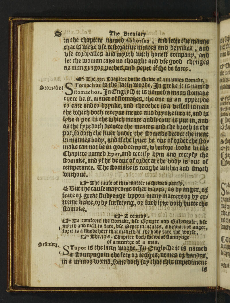 ■'H ^tt c^fipitre named Abhorfus, dndlefteiidC Rtdnna tl)Actsl\xiehenfetc(tc;atiucmeatej3ano O^^pnhes, and Dfe co^Dpallep and mp^td d)(td ^oneG^ eompanp, and iet tlje moman tatte no tdoasdt and d(e good tdpngep aa mang.tago^,pecde$,and pepet if (^e be farte * COapnee botbt ibetoe of amannes aomaSe. i$rt:na5c( Q romachus istbc latintoo^de.Jngfebe tc(anamed  i^itomachosA ]iii(0ngipl|i it is nameda mansftomabe egetebe.iumanetofftoniabed, tb^one laan appeepdo eo eaeeandto d^pnbe,anD tbeotbettaa dedeii inmatt tbe bobteb docb xecepue meate and d^pnbe into tt,and ($ Ipbe a poe tn tbetobtcbnteatr andipcoat ia put inland astbe fp^edotb decocte tbe meaces and tbe b?otb in tba pat,(ci doth tbx Ituex dndec tbe Oomabe decoct cbe meat; in manne0bodp,andtfcbelpuec be out ofp^det tbe Ifol^ mabe can not be in good tempet,tDbecfo;e loobe tn tbe Cbapitce named Epar.and ccctifp bpin ano cectpfp tbe noinabe,andpfba beoucofo^decaitbe bodp is out of cempetance. Cbe ftomabeia tougbe dottbia and fmotb tottbouc* - , tl* cauCe Of matter t0 Qctde5p4rtfi>« ^ Butt be caufe mapcomeotbec mapea, aa bp anget^oji feaceo; great ftndpenge dppon manpmattetao^ bp ejcp treme beate.o; bp fuefeepng, o j (ueb ipbe ootb butce thie ftomabe. remeop d-sca comfonc the domafte, bCc iSpngfc ano iSalpngalo, bft ( ^cpecttimeates, jfbctoaceof angert fo?it tfl a Cbw&cUect toatmattttoal tUebobP fate tl)C toojfc, SCiKt! CUapttee botb ebetoe of Uonnpnse AfSnirt, of aracinbjeof a man, / • ; *•- o Tupot ta tbelattn ^03^De.3|gi^nglplbe ft ia named x->a ftonnpngein tbefete o^ leggcaiacmcsroji^ea; in a maiiofd)3mS,Comedotbfaptbattbt|simpedttneiit iU jjaW IMlrtc ottlitt 'itiinifni !£*o; tfJJ! CJ3| C QdlOi DM Iftoi (onitdi ♦#f;a