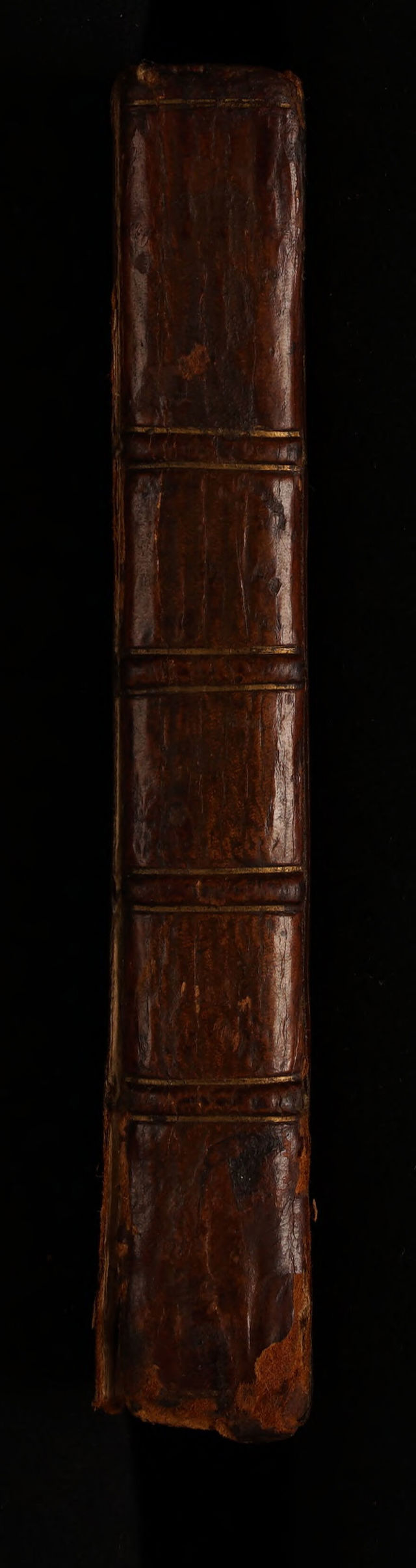 digitised image 2