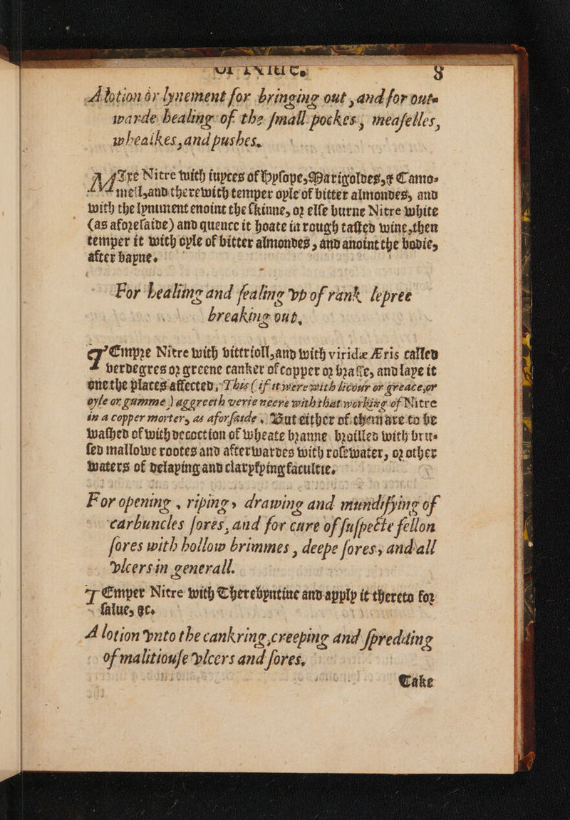 A lotion or lynement for bringing out, and for oute warde healing of the ſmall poches, meafelles, wheatkes and pushes, A Aire Nitre with iuytes of Hyſope, Marigoldes, x Cantos mell, and therewich temper oyle of bitter almondes, and with the lyniment enoint the lkinne, oz elfe burne Nitre white (as afoꝛeſaide) and quence it hoate in rough taſted wine, then temper it with ople of bitter almondes, and anoint the bodie, akter bapne. | , For healing and fealing vp of rank lepree breaking bub. e Empze Nitre with vittrioll, and with viride Aris callev verdegres o2 greene canker of copper op bra fe, and laye it one the places affected, The tt were with licvur or greate or oyle or umme agg reeth verie meere withtbat workizg of Nitre in a copper morter, as aforfarde. But either of them are to be Wathen of with decoction of wheate bꝛanne bꝛoilled with bru⸗ ſed mallowe rootes and afterwardes with rolewater, oꝛ other waters of delaying and clarylying kacultie. For opening , riping, drawing and muntifying of carbuncles fores, and for cure of, Jufpecte fellon ſores with hollow brimmes, deepe ſores, and all vicersin generall. “7 Emper Nitre with Therebyntine anv-apply it thereto koꝛ lalue, gc. A lotion vnto the cankrin io creeping and ſprediling of malitiouſe vlcers and fores, Cake