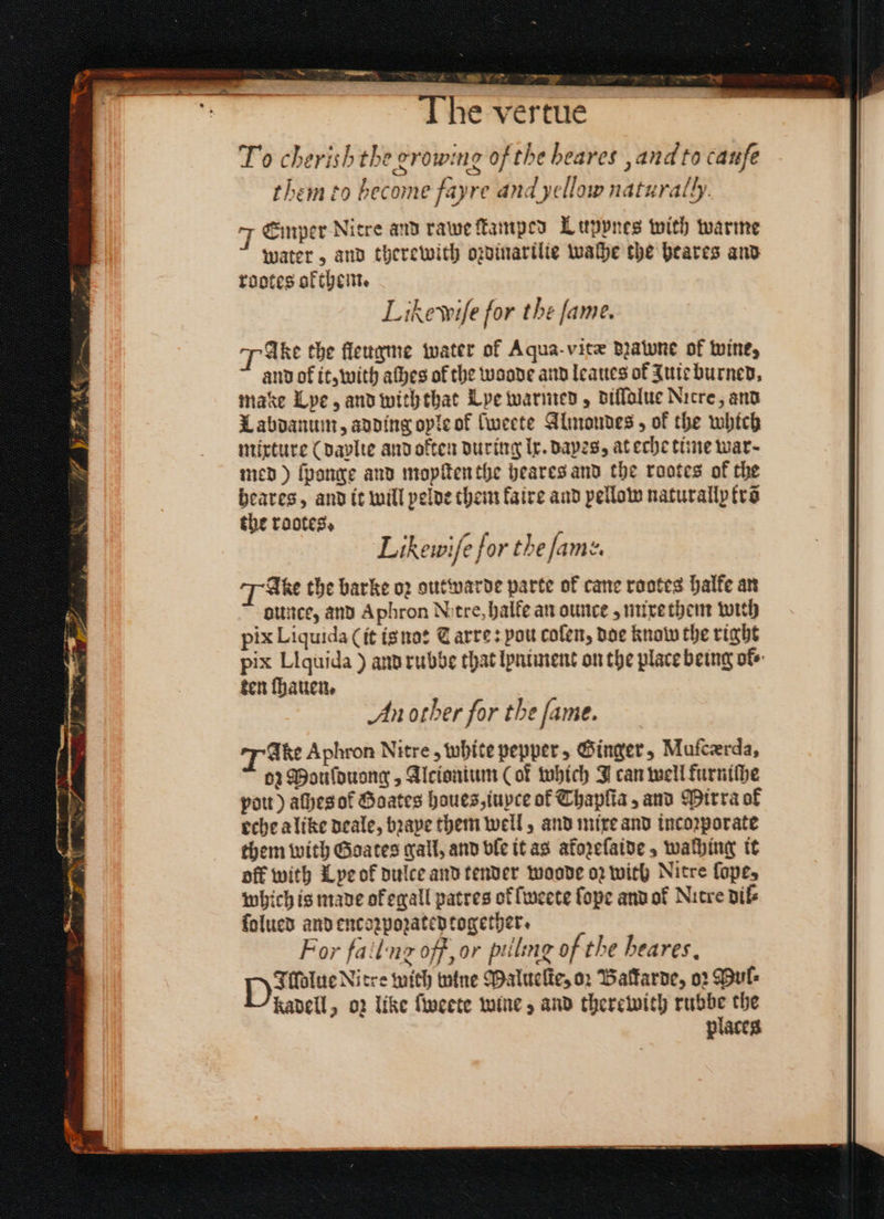 — The vertue To cherish the growing of the beares, and to cauſe them to become fayre and yellow naturally Emper Litre and rawe Camper Luppnes with warme water, and therewith ozdinarilte wache the heares and rootes okthem. Like wiſe for the fame. or Gke the flergme water of Aqua-vite dane of wine, and of it, with aſhes of the woode and leaues of Juie burned, make Lye, and with that Lye warmed, diflolue Nicre, and Labdanum, adding oyle of ſweete Almnondes, of the which mixture (daylie and often during lx. dayes, at eche time war- med) ſponge and moyſten the heares and the rootes of the heares, and it will pelde them faire and pellow naturally krõ the rootes. 3 . Likewife for the fame. Ake the barke oꝛ outwarde parte of cane rootes halke an ounce, and Aphron tre, halfe an ounce, mixe them with pix Liquida (it is no: C arre: pou coſen, doe know the right pix Liquida ) and rubbe that lyniment on the place being ot · ken ſhauen. An other for the fame. Ake Aphron Nitre , white pepper, Ginger, Mufcerda, 02 Mouſduong, Alcionium (of which J can well furniſhe vou) aſhes ot᷑ Goates houes,tupce of Thapſia, and irra of eche a like deale, bꝛaye them well, and mixe and incoꝛporate them with Goates call, and ble it as atoꝛeſaide, waching it off with Lye of dulce and tender woode o2 with Nitre fope, which is made okegall patres of ſweete ſope and ok Nitre dil⸗ ſolued and encoꝛpozated together. For falling off, or pulling of the heares. Duilue Nitre witch wine Malueſte, or Balfarde, oꝛ Bul kadell, oz like ſweete wine, and therewith rubbe the places