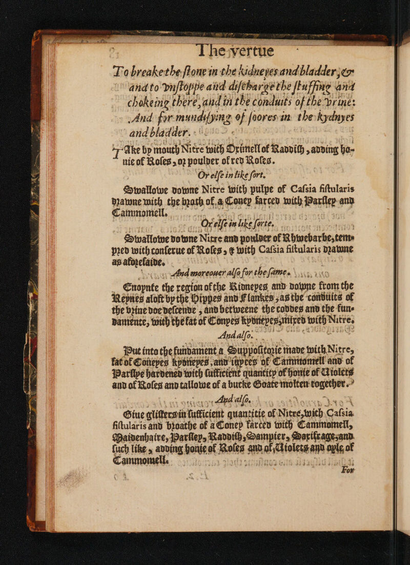 Ot ey en To breakethefioneim: ole hidhne ner and bladder jer and to pn ftoppe and difehar ge the ſtuffing and chokeing khere, and in the conduits of the rine: And por muh 2 4 foores in the kydnyes and bladder. : Ake by mouth Nitre with Peine of Ravpith , adding ha⸗ nic of Roles 5 02 poulder okred Roles. Or elſe in like fort. Swallowe downe Nitre with pulpe of Cafsia fiſtularis dane with che mas ok a Coney farced with Peete and Cammomell. : Or elfei in lke farte. Swallome downe Nitre and poulder of Ubwebarbe, tem⸗ peed with conlerue of Roles, & with Calsia fiſtularis beatae as alozelaide. g A 8 And murcauer alfa for the ſame. Wear. : Enoynte the region ofthe Kidnepes and done kram the Neynes aloft by the Dipped and Flankes as the ‘conduits of the brine doe deſcende, and betweene the codes and the kun⸗ damente, with the kat of Conpes Abntpes med 1 5 1 And alſo. Put into the fundament a Suppoctozie made wich Nitre, kat ol Coneyes kpoitepes and iapees of Cammomell and ok Parſiye hardened with ſufficient quantity of honte of U iolets and al Roles and tallome of a bucke Goate molten . ene Aud alſo. Giue glitters in Tufficient quantitie ol Nirre, with Oasis fiſtularis and bꝛoathe of à Coney kärted with Cammomell, Maidenhaire, Parſley, Naddiſh, Dampier, Saxifrage, and ſuch like, adding nie of Hales and mene l of Cammomell. ry Tee