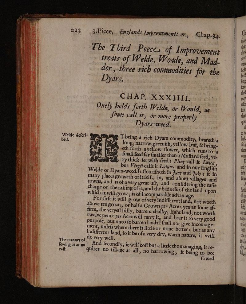 The Third Peeces of I mprovement treats of Welde, Woade, and Mad. der , three rich commodities for the Dyars, | CHAP. XXXII, Onely bolds forth Welde, or Would, as Some call it, ov move properly Dyars-weed. Welde defcri- py sof V being a rich Dyars commodity, beareth a bed. | ( fe? th forth ayellow flower, which runs to a page {mall feed far {maller than a Muftard feed, ve. pe aNd vy thick fer with feed ; Pliny call it Luttea , but Virgil calls it Lutum, and in our Englith Welde or Dyars-weed. It flourifheth in June and Fuly 5 it in many places groweth ofitfelf, in, and about villages and towns, and 18 of avery great ufe, and confidering the eafie charge of the raifing of it, and the badnefs of the land upon which ic will grow , is of incomparable advantage. : or firft it will grow of very indifferent land, not worth above ten groats, or halfa Crown per Acres yea as fome af- firm, the veryett hilly, barren, chalky, light land, not worth twelve pence per Acre will carry it, and bear it to very good purpole, but unto fo barren lands I fhall not give incourage- ment, unlefs where there is little or none better; but as any indifferent land, fo it be ofa very dry, warm nature, it vvill The manner of do very well. : fowing itatgo ‘nd fecondly, it will coft but a little the managing, it re= cof, quires no tillage at all > no harrowing, it being to bee fowed