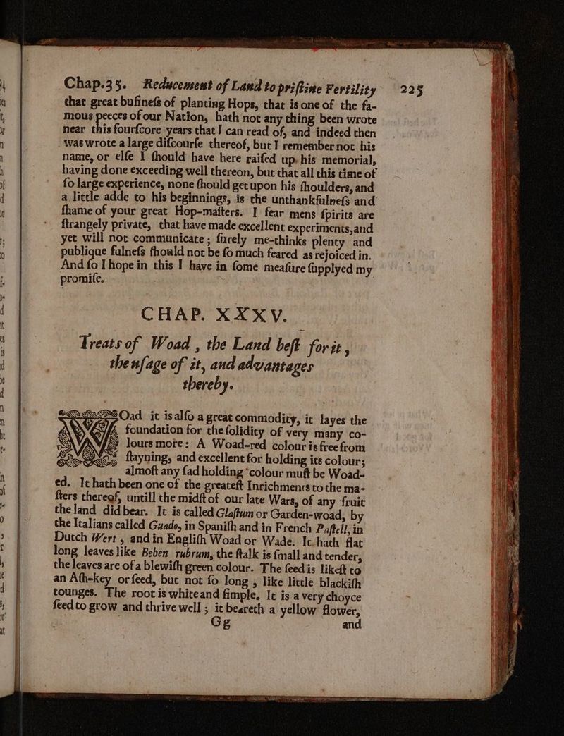 that great bufinefs of planting Hops, that is one of the fa- mous peeces of our Nation, hath not any thing been wrote near this fourfcore years that} can read of, and indeed then wae wrote a large difcourfe thereof, but ] remember noc his name, or elfe I fhould have here raifed up. his memorial, having done exceeding well thereon, but that all this time of fo large experience, none fhould get upon his fhoulders, and a little adde to his beginnings, is the unthankfulnefs and fhame of your great Hop-mafters. I fear mens {pirits are ftrangely private, chat have made excellent experiments,and yet will not communicate ; furely me-thinks plenty and publique fulnefs fhould not be fo much feared as rejoiced in. And fo I hope in this I have in fome meafure fupplyed my promife. CHAP. XXXYV. Treats of Woad , the Land belt for it , the nfage of it, and advantages thereby. SsesesOad. it isalfo a great commodity, it layes the WWF ( foundation for the folidity of very many co- NS VS lours more es a ep emai i Vie V ONG flayning, and excellent for holding its co our; RSVLMG dimof i fad holding “colour hgh be Woad- ed. It hath been one of the greateft Inrichmenrs tothe ma- fters chereof, untill the midft of our late Wars, of any fruit the land did bear. It is called Glaftum or Garden-woad, by the Italians called Guado, in Spanith and in French Paftell, in Dutch Wert , andin Englith Woad or Wade. It.hath flat long leaves like Beben rubrum, the ftalk is (mall and tender, the leaves are ofa blewith green colour. The {eed is likeft to an Afh-key orfeed, but not fo long , like litcle blackith tounges. The root is whiceand fimple. It is a very choyce feed to grow and thrive well; it beareth a yellow flower,