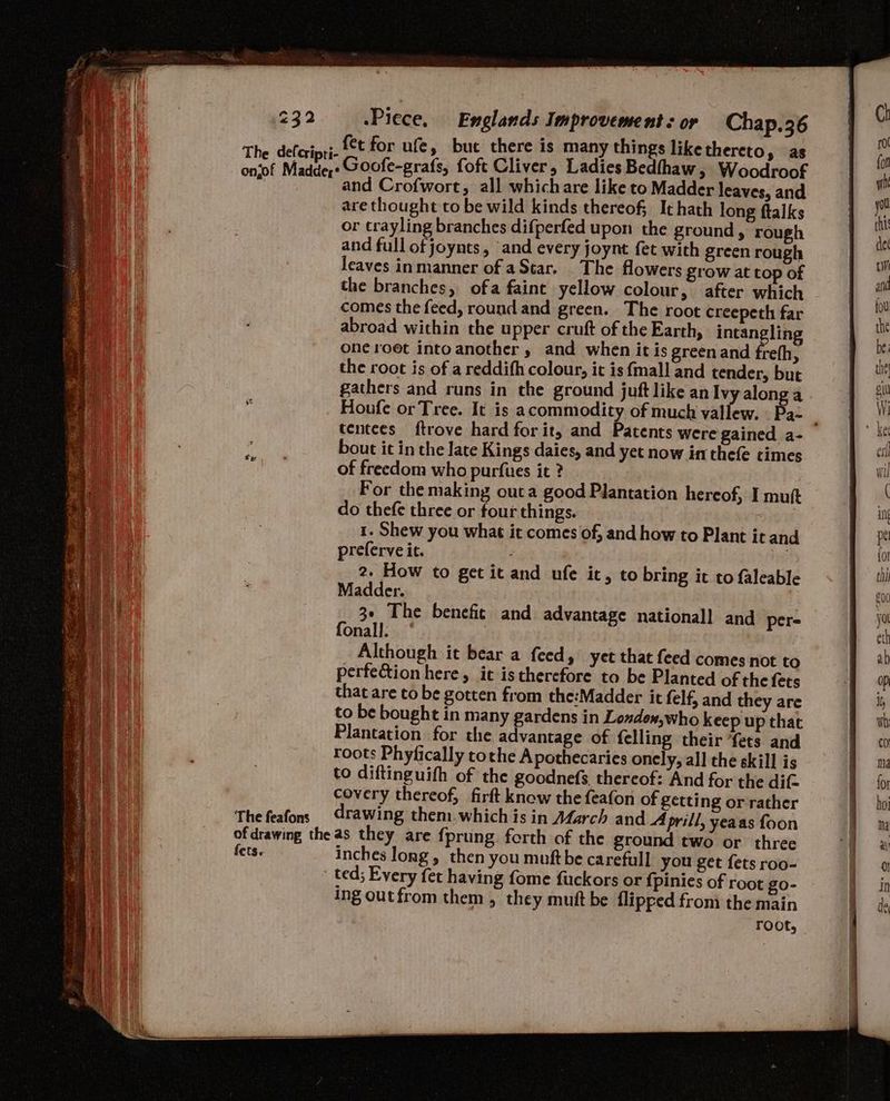 and Crofwort, all which are like to Madder leaves, and are thought to be wild kinds thereof; It hath long ftalks or crayling branches difperfed upon the ground, rough and full of joynts, and every joynt fet with green rough leaves inmanner of aStar. The flowers grow at top of the branches, ofa faint yellow colour, after which comes the feed, round and green. The root creepeth far abroad within the upper cruft of the Earth, intangling one roet intoanother , and when it is green and frefh, the root is of a reddifh colour, it is {mall and tender, but gathers and runs in the ground juft like an Ivy alonga Houfe or Tree. It is acommodity of much vallew. Pa- bout it in the late Kings daies, and yet now inthefe times of freedom who purfues it ? | do thefe three or four things. , 1. Shew you what it comes of, and how to Plant it and preferve it. sp! 2. How to get it and ufe it, to bring it to faleable Madder. 3e The benefic and advantage national! and per- fonall. Although it bear a feed, yet that feed comes not to perfetion here, it istherefore to be Planted of the fets that are to be gotten from the:Madder it felf, and they are to be bought in many gardens in Londox,who Keep up that Plantation for the advantage of felling their fets and roots Phyfically tothe Apothecaries onely, all the skill is to diftinguith of the goodnefs, thereof: And for the dit. covery thereof, firft know the feafon of getting or rather The feafons Grawing them.which is in March and_A prill, yeaas foon of drawing the as they are fprung forth of the ground two or three fets. inches long, then you muftbe carefull you get fets roo- t {pinies of root go- ing outfrom them, they muft be flipped from the main | root,