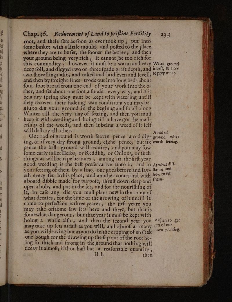 root, and thefe fets asfoon as evertook up, put into of {ome basket with alittle mould, and pofted to the place Md | where they are tobe fet, thefooner the better; and then is | your ground being very rich, it cannot be too rich for ft this commodity , however it muft bea warm and very What ground | deep foil, and digged two or three fpade graft depth, and ts belt, &amp; hor : d | two fhovellings alfo, and raked and laid even and level], SPFEPHS It | mh | and then by ftreight lines trode out into long beds about f uf four foot broad from one end of your work into the o- mw ther, and fet about one foot a funder every way, and if ic , © be.adry {pring they muft be kept wich watering untill ut they recover their tadeing’ wan condition; you may be- a. a giuto dig your ground in the beginng and fo allaiong - | Winter till the very day of fetting, and then you mutt « | ~ keep it. with weeding and hoing till ic have got the maf- a | erfhip of the weeds, and then ic being a weed of it felf will deftroy all other. And of k 7. Onc rod of ground is worth feaven pence arod dig- ground what : ing, or if very dry ftrong ground, eight pences but fix worth feuéng. | pence the beft ground willrequire, and you may fow i ! {ome early fallec Herbs, or Reddifh, or Onions, or fuch kf things as willbe ripe betimes , among it; the firft.year ) good weeding is the beft prefervative unto it, and in Arwhat dift- . 9 your fetting of them by aline, one goes before and lay- flance and a eth every fet inhis place, and anothér comes and with how t0 a aboard dibble made for purpofe, thruft down deep and *™ .» | openahole, and putin the fet, and for tke nourifhing of | it, in cafe any die you muft plant newinthe room of t a what decaies, for the time of the growing ofic untill it _ come to perfeétion isthree yeares, the firft yeare you may take offfome few fets here and there, but chat is fomewhat dangerous, but that year it muft be kepe with hoing a while alfo, and then the fecond year you VVhen to get may take up {ets as faft as you will, and almoftas many (tts of our | as you wil;ieaving but asyou do in the croping of an Qak °” PAnhVe one bough for the drawing up the fap out of the root be- i ing fo thick and ftrong in the ground that nothing will decay it almoft; if thou haft bur a reafonable quantity , ; : Hh then