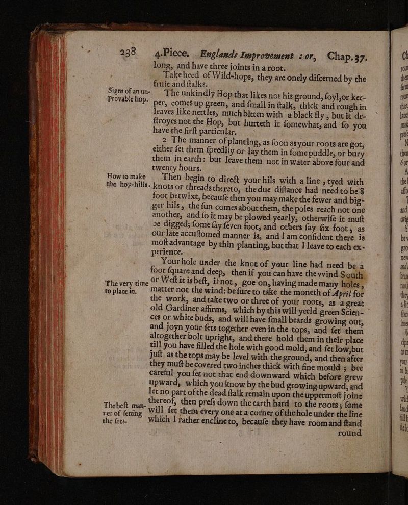 long, and have three joints in a root. a Take heed of Wild-hops, they are onely difcerned by the Fea finite and ftalks. | am Signsofanun- The unkindly H op that likes not his ground, foyl,or kee- he . Provab:e hop. per, comes up green, and {mail in ftalk, thick and rough in leaves like nettles, much bitten with a black fly , but ic de- {troyes not the Hop, but hurteth it fomewhat, and fo you havethe firft particular, another, and foie may be plowed yearly, otherwife it mutt fe oe digged; fome fay feven foot, and others fay fix foot, as ee our late accuftomed manner is, and f am confident there is moft advantage by thin planting, but that | leave to each ex- if perience. i Yourhole under the knoe of your line had need be a foot {quare and deep, then if you can have the vvind South bhi very hike SE Welt ic isbeft, itnot, goe on, having made many holes, toplancin, ‘Matter not the wind: befure to take the moneth of April for the work, and take two or three of your roots, as a great old Gardiner affirms, which by this will yeeld green Scien- ces or white buds, and will have {mall beards growing out, and joyn your fets together even in the tops, and fet them altogether bolt upright, and there hold them in their place till you have filled the hole with good mold, and fet low,but jult_ as the tops may be level with the ground, and then after they muft be covered two inches thick with fine mould ;. bee careful you fet not that end downward which before grew upward, which you know by the bud gtowing upward, and let no part of the dead flalk remain upon the uppermott joing thetale woe thereof, then prefs down the earth hard to the roots; fome ab BF ent will fet them every one at a corner of thehole under theline cn, Which I rather enclineto, becaufe they have roomand ftand round , 2. 2 ee