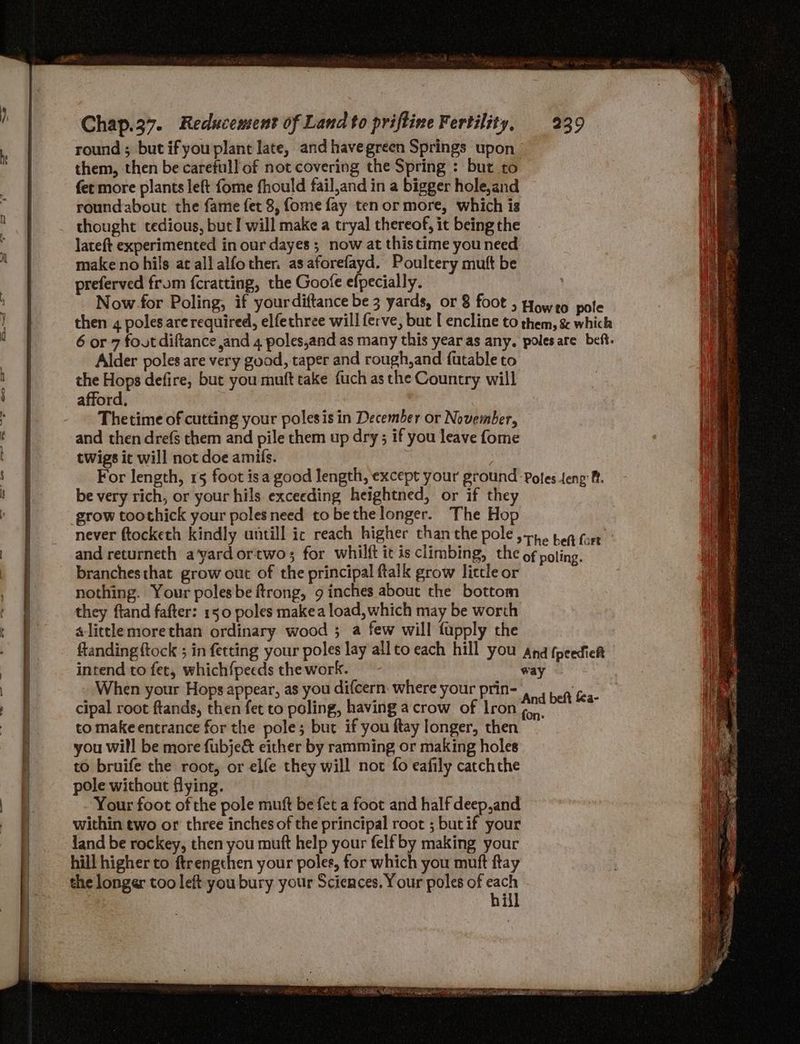 round ; but ifyou plant late, and havegreen Springs upon them, then be carefull of not covering the Spring : but to fet more plants left fome fhould fail,and in a bigger hole,and roundabout the fame fet 8, fome fay tenor more, which is thought tedious, but! will make a tryal thereof, it being the lateft experimented in our dayes ; now at thistime you need make no hils at all alfother. as aforefayd. Poultery mutt be preferved from {cratting, the Goofe efpecially. ' Now for Poling, if yourdiftance be 3 yards, or 8 foot ; roweo pole then 4 poles are required, elfechree will ferve, but I encline to them, & which 6 or 7 foutdiftance and 4 poles,and as many this year as any. poles are beft. Alder poles are very good, taper and rough, and futable to the Hops defire, but you muft take fuch as the Country will afford, Thetime of cutting your polesis in December or November, and then drefs them and pile them up dry ; if you leave fome twigs ic will not doe amils. For length, 15 foot isa good Jength, except your ground ‘Poles feng: ft. be very rich, or your hils exceeding heightned, or if they grow toothick your poles need tobethe longer. The Hop never ftocketh kindly untill ic reach higher than the pole... ben fort and returneth a'yard ortwo; for whilft it is climbing, the of poling. branchesthat grow out of the principal ftalk grow lictle or nothing. Your polesbe frong, 9 inches about the bottom they ftand fafter: 150 poles makea load, which may be worth s-littlemorethan ordinary wood ; a few will fupply the ftanding {tock ; in fetting your poles lay all to each hill you Ana fpeediet intend to fet, which{peeds the ye , p way When your Hops appear, as you difcern: where your prin- Phy cipal Nee ftands, threes fet to de line: having a crow of lron rab br to makeentrance for the pole; but if you ftay longer, then you will be more fubjeé& either by ramming or making holes to bruife the root, or elfe they will not fo eafily catch the pole without flying. Your foot of the pole muft be fet a foot and half deep,and within two or three inches of the principal root ; but if your land be rockey, then you muft help your felf by making your hill higher to ftrengthen your poles, for which you mutt ftay the longer too left youbury your Sciences. Your poles of are