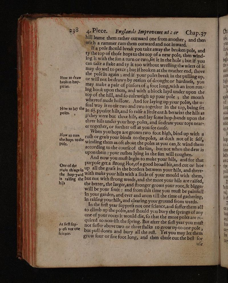 hill leame them rather outward one from another, and then _?with a rammer ram them outwardand not inward. _ Ifa pole fhculd break you take away the broken pole, and ty the top of thofe hopsto the rop of a new pole, then wind- ing it with the {una turn or two,fet it in the hole 5 bur if you can take a {take and ty ic too without wrefting the wiers of it may do wel to peece ; but if broken at the neather end, fhove the polein again ; and if your poles break in the pulling up, How todraw or will not be drawn by reafon of drought or hardnels, you bipren top> may make a pair of pinfors of 4 foot long, with an iron run- ana ing hook upon them, and with a block layd under upon the top of the hill, and fo coleweigh up your pole ; the mouth whereof made hollow. And for laying up your polee, the u- fual way isto tie two and two together in the top, being fet How to lay the j,, 61 ppofite hils,and fo raife a little earch betwixt the hils as PORE itthey were but three hils, and lay {ome hop-bands upon the three hils under ycur hop- poles, and fo draw your tops near- er together, or further off as you fee caufe. When you hops are grown two foot high, bind up with a How rotura — ruth or grafs your binds tothepoles, as doth not of it felf, “ ors fo tic winding them as oft about the poles as you can,&amp; wind them : according to the courfeof thefun,- butnot when thedew is upon them : your rufhes lying in the fan will toughen. And now you muft begin to make your hils, and for that purpofe get a ftrong Hoe,ofa good broad bit,and cut or hoe Ae in UP all the grafs in the borders between your hils, and there- the hop-yard With make your hils with a little of your mould with them, is raifing the butnot with ftrong weeds,and the more your hils are-raifed, hi's the better, the larger,and ftronger grows your root, &amp; bigger will be your fruit : and from this time you muft be painfull in your garden, and ever and anon till the time of gathering, in raifing yourhils, and clearing your ground from weeds. In the firft year fupprefs not one fcience,and fuffer them al] to climb up the poles,and fhould you bury che {prings of any one of your roots it would die, fo that the more poles are rc- quired to nouvifh the {pring. But after the firft year you muft Acfuftfap- noc fuffer above two or three ftalks to grow up to one pole , bs horone~ but pulldown and bury all the ret. Yet you may let them cience. rs grow four or five foot long, and then chule out the beft for | ule whic up, hop to ¢ fome belt