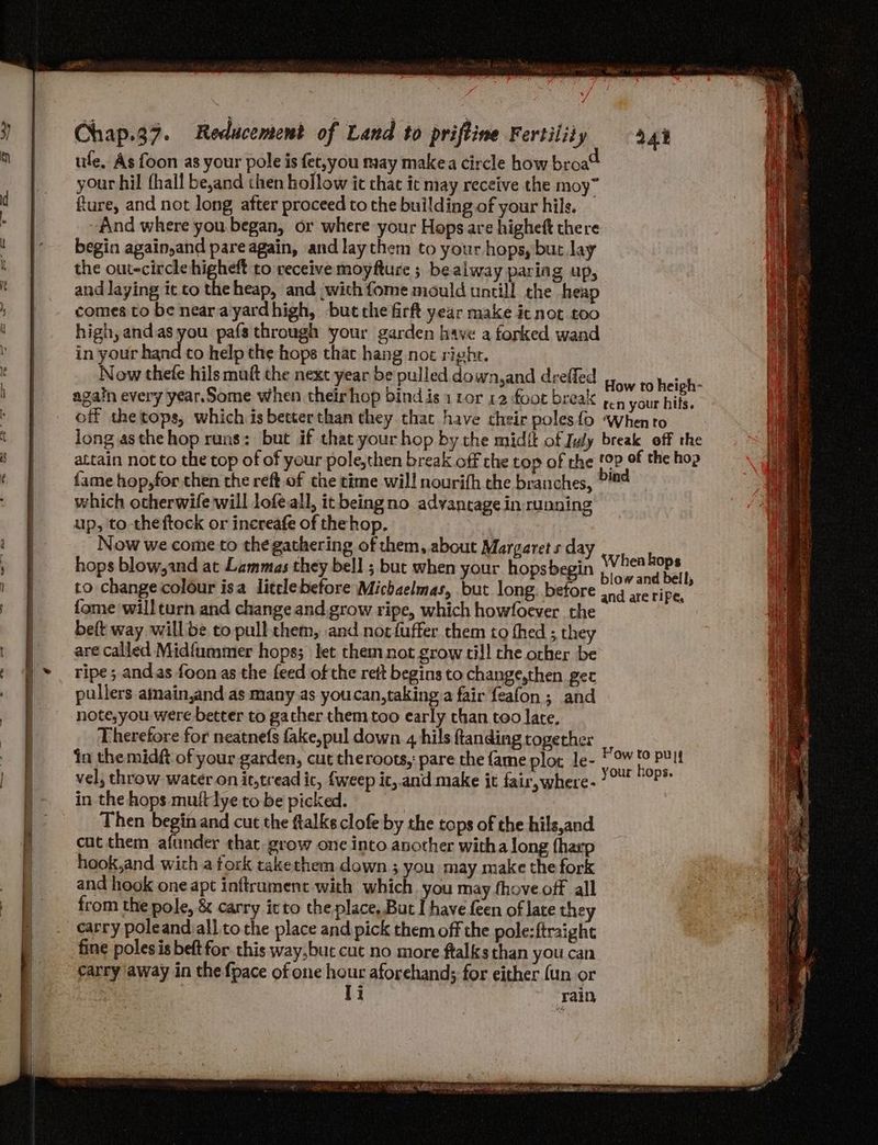 ufe, As foon as your pole is fet,you may makea circle how broa your hil fhall be,and then hollow ic chat it may receive the moy” fture, and not long after proceed to the building of your hils. And where you. began, or where your Hops are higheft there begin again,and pare again, and laythem to your hops, but lay the out-circle higheft to receive moyfture ; be alway paring up, and laying it to the heap, and (with fome mould untill the heap comes to be nearayardhigh, but che firft year make it not too high,and.as you pafs through your garden have a forked wand in your hand to help the hops that hang noe right. Now theie hils muft the next year be pulled down,and dreffed again every year.Some when their hop bind is 1 ror 12 foot break {ame hop, for then the reft of the time wil! nourith the branches, ° which otherwife will lofeall, it beingno advantage in running up, to theftock or increafe of the hop. Now we come to the gathering of them, about Margaret s day hops blow,and at Lammas they bell ; but when your hopsbegin to change colour isa litclebefore Michaelmas, but long. before fome will turn and change and. grow ripe, which howfoever the beft way will be to pull chem, and nor fuffer them to thed ; they are called Midfummer hops; let them not grow till the orher be ripe ; andas {oon as the feed of the rett begins to change,then get pullers ainain,and as many as youcan,taking a fair feafon; and note,you were better to gacher them too early chan too late, Therefore for neatnefs fake, pul down 4 hils ftanding together vel, throw water on it,tread ic, {weep it,.and make it fair, where - in the hops muftlye to be picked. Then begin and cut the ftalke clofe by the tops of the hils,and cat them aftnder that. grow one into another witha long fhaxp hook,and with afork takethem down ; you may make the fork and hook one apt inftrument with which you may fhove off all from the pole, &amp; carry itto the place, But I have {een of late they fine polesis beft for this way,but cut no more ftalks than you can carry away in the {pace of one hour aforehand; for either (un or pte | Ti rain