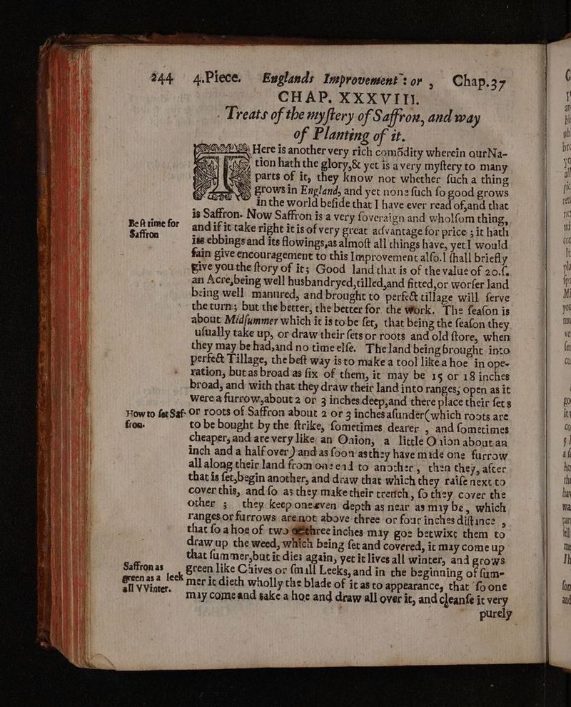 eames ae ei O27 ed ee bt Be Dee = oe aes: Pie eines 244 Be ft rime for Saffron 4.Piece. Euglands Improvement’: or , CHAP. XXXVITI. Treats of the myftery of Saffron, and way | of Planting of it. ESUSMSOMS Here is another very rich comddity wherein ourNa- Ra) FG, tion hath the glory,&amp; yet is a very myftery to many SS < parts of it, they know not whether fuch a thin g \ grows in England, and yet none fuch fo good grows in the world befide that I have ever read of,and that is Saffron. Now Saffron is a very foveraign and wholfom thing, and if ic take right itis of very great advantage for price ; it hath iss ebbings and its flowings,as almott all things have, yetI would fain give encouragement to this Improvement alfo. {hall briefly Bive you the ftory of it; Good land that is of the value of 20.f. an Acre,being well husbandryed,tilled,and fi tted,or worfer land bsing well manured, and brought to perfee tillage will ferve the turn; but the better, the better for the Work. The feafon is about Mid{ummer which it is tobe fety that being the feafon they ufually take up, or draw their ets or roots and old ftore, when they may be had,and no timeelfe. Theland being brought. into perfe&amp; Tillage, the beft way isto make a tool likeahoe in ope- ration, butas broad as fix of them, it may be 15 or 18 inches broad, and with that they draw their land into ranges; open as it Were a furrow,about 2 or 3 inches deep,and there place their fers Chap.37 fron: Saffron as @reenasa lee all V Vinter.. to be bought by the ftrike, fometimes dearer , and fometimes cheaper; and are very like: an Oaion, a little Orion about an inch and a half over) andas foon’as they have mide one furrow all along their land from onzead to another, then they, afcer that is fet,begin another, and dcaw that which they raife next co cover this, and fo as they maketheir trettch ,fothey cover the other ; they keep oneeven depth as near as miy be » which ranges.or furrows arenot above three or forr inches diftance : that fo ahoe of two aetthree inches may goz betwixt them to draw up the weed, which being fer and covered, it may come up that fummer,but ic dies again, yet it lives all Winter, and grows gceen like Chives or fall Leeks, and in the beginning of fum- mer it dieth wholly the blade of i¢ as to appearance, that ‘fo one may comeand gake a hoe and draw all over it, and Cleanfe it very