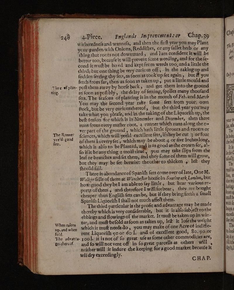 ‘wtiveredne(and wannefs, and then the firft year you may Plant your garden-with Onions, Reddithes, orany fallecherb or any thing that roots not downward 5 and lam confident it will be better too, becaufe it will prevent tome weeding, and for the fe- cond itruft be hoed and kept from weeds too, anda little the thirdy but one thing be very curious off ,-in the takingup and fudden fecting thy fers, as foon as took up fet again, but if you fetch from far, then as foonas takenup, puta littlemould and Tire ef plan- poftthem away by horfe back, and get them into the ground ting. as foon as poflibly., the delay of fetting, fpoiles many thoufand fets. The feafons of planting is in the month of Feb, and March You may ‘the fecond year take fome fets from your, own flock, but be very curiousthereof, but the third year you'may take what you pleafe, and in the taking of the Liquorifh up, the belt {ealon for which is in November and December, then there runs frony every mafter root, a runner which runs.along the o- ver part of the ground , which hath little {prouts and rootes or {ciences, which will yeeld: excellent ets, ifthey be cut 3 or four ofthem in everyfet', which may be about: or five iocheslong, which is alfo to ‘be Planted, and is 4s good.asthe crown fet, a!- fo ific be any thing a moifttime, \you may take {lips from the leaf or branches and fet them, and they fome of them will grow, but they may? be fet betwixt theother to thicken 5) left they fhould fail. | ; There is abundance of Spanih fets come over of late, One M. Waikerfells of them at Wincbeter houfe in Soutrwark London, but how good they bel am ableto fay little, but hear -various re- ports of them, “and therefore | willforbear, they are bought cheaper thar Englifh fees can be, but if they bring, forth a {mall Spanifh Liguorifh I shall not much affect them. The third particular is the profit and.advantage may be made thereby whichis very confiderable, but it isalfoiubjectco the ebbings and flowings of the marker, Ic muft be taken up. in win- When raken tets and muft befold asfoon as taken up, let it lofethe weight aken ee e ide up,and when Whichit muft needsdo , you may male of one Acre of indiffe- fotd. rent Liquorifh so or 601. and of excellent good, $0. :90.0r The advanta- ool. itisnotof fo great ufeasfome other commodities are, ‘gesthercof. and fo will not vent off in fo great parcells as others will , neither will it indure the keeping fora good market becaufe it wii dry exceedingly. CHAP The Runner yee'd: good fers. i