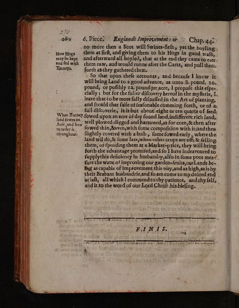 How Hogs may be kept and fed with . Zurneps. feed (owes an Acre and how to order ic... throughout. no more then a Scot will Swines-fleth, yet the boyling:, them at firft, and giving them ‘to his Hogs in good wath,. and afterward all boyled, that at the end they came to ete, them raw, aud would runne after the Carts, and pull them, forch asthey gathered:them, | So that upon-thefe ‘accounts:, and-becaufe I know it will bring Land to a good advance, as.unto 8. pound, t0... pound, or poffibly 12, pound per acre, 1 propofe this efpes, cially 5 but for the fuller difcovery hereof in the myfterie, L., leave thac-to-be more fally difcuffed:in the: Art of planting, and fhould that faile of feafonable comming forth, or of a full difcoverie, itis but about..eight or ten quarts of feed, fowed upon.an acre of dry found land, indifferent rich land,. well plowed, digged and harrowed,as for corn,S.then after . fowed thin, &even, with fome compofition with it;andther flightly covered with a bufh ,. fome fowed- early , where the. . Jand wil do,& fome late,when other crops are off; & felling, them, or fpending them at a Market-price, they will bring forth the advantage promifedsand fo I have indeavoured to | fupplythis deficiency in husbandry,alfo in fome poor mea. fure'the want-of improving our garden-fruits,ourLands be=. - #ng as capable of improvement.this way,and as high,asis by, their Brabant husbandrie,and foam come to my-defired end | at laft, all;whichI commendtothy patience, andthy {elf;. and itto the word of our Lord Chrift hisbleffing,.