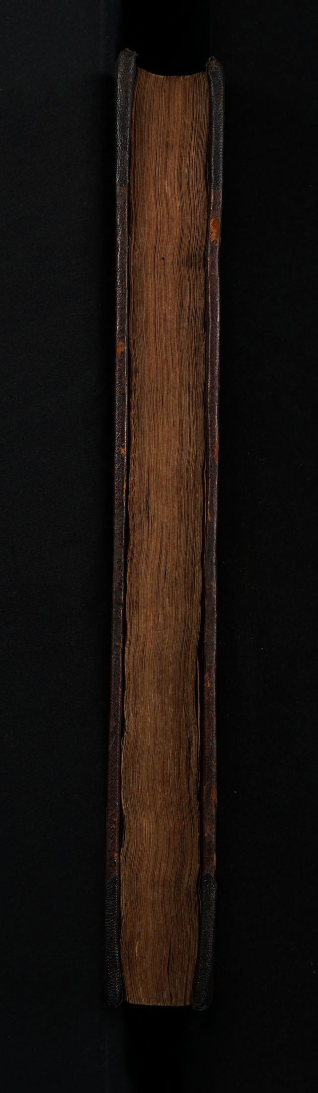digitised image 3