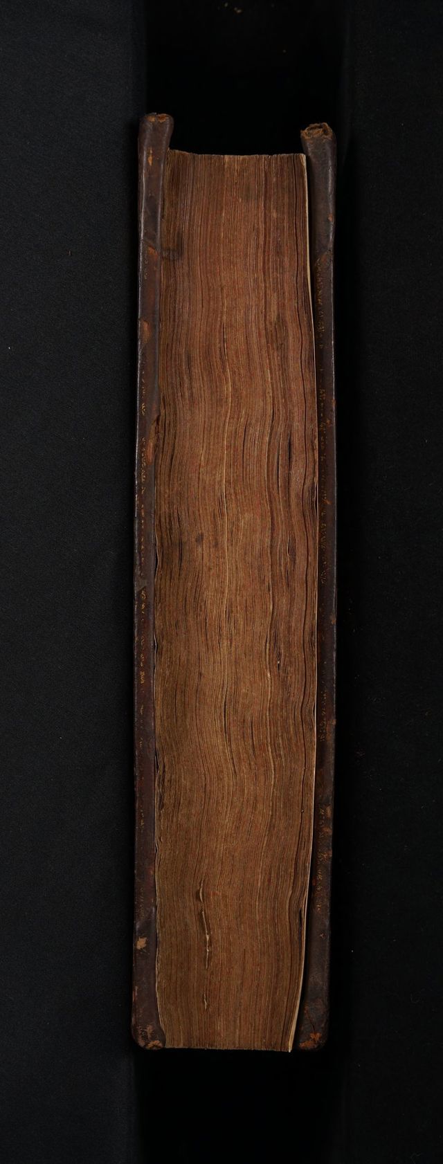 digitised image 3